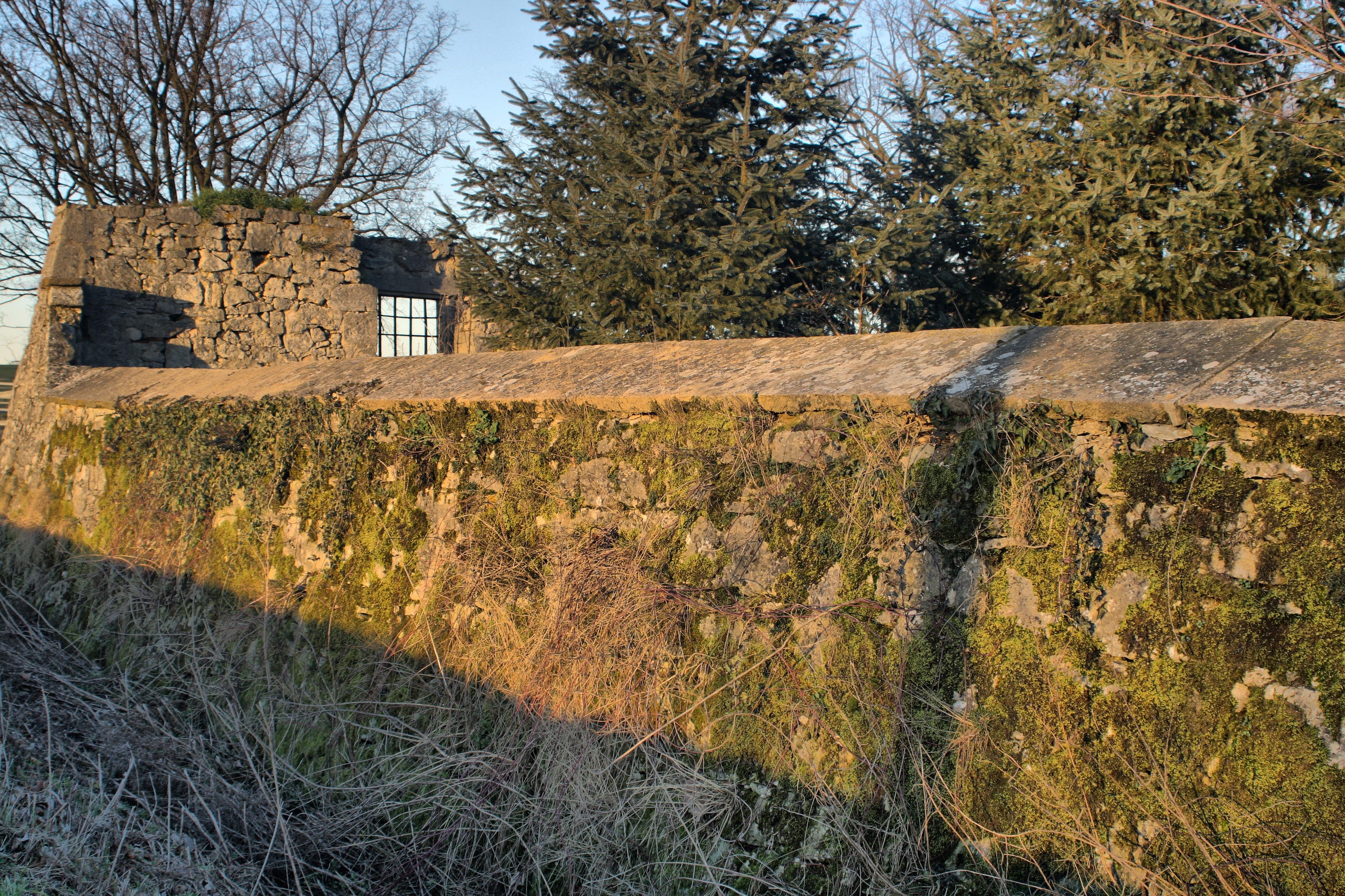 20080323084300-37.jpg