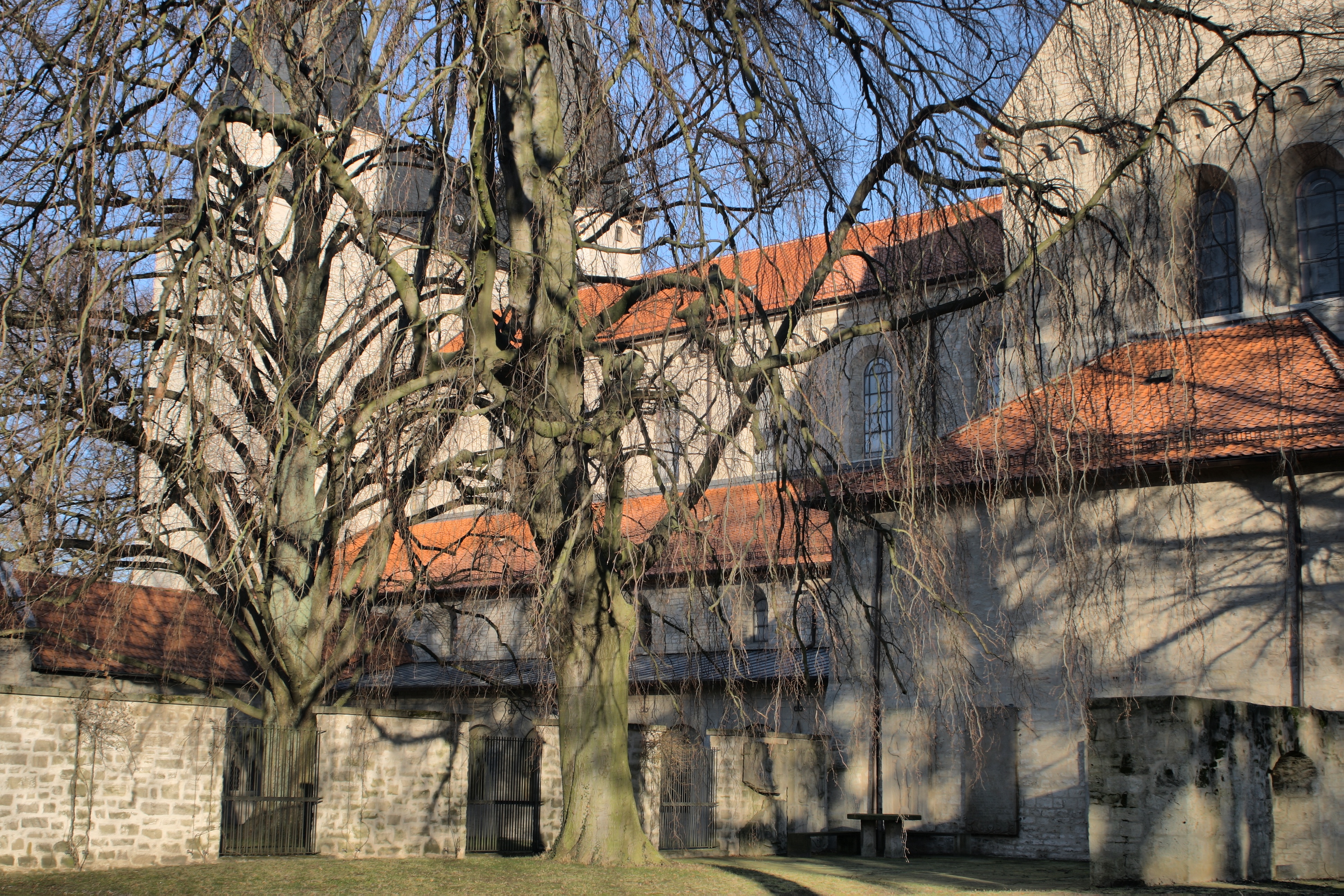 20080323084300-42.jpg