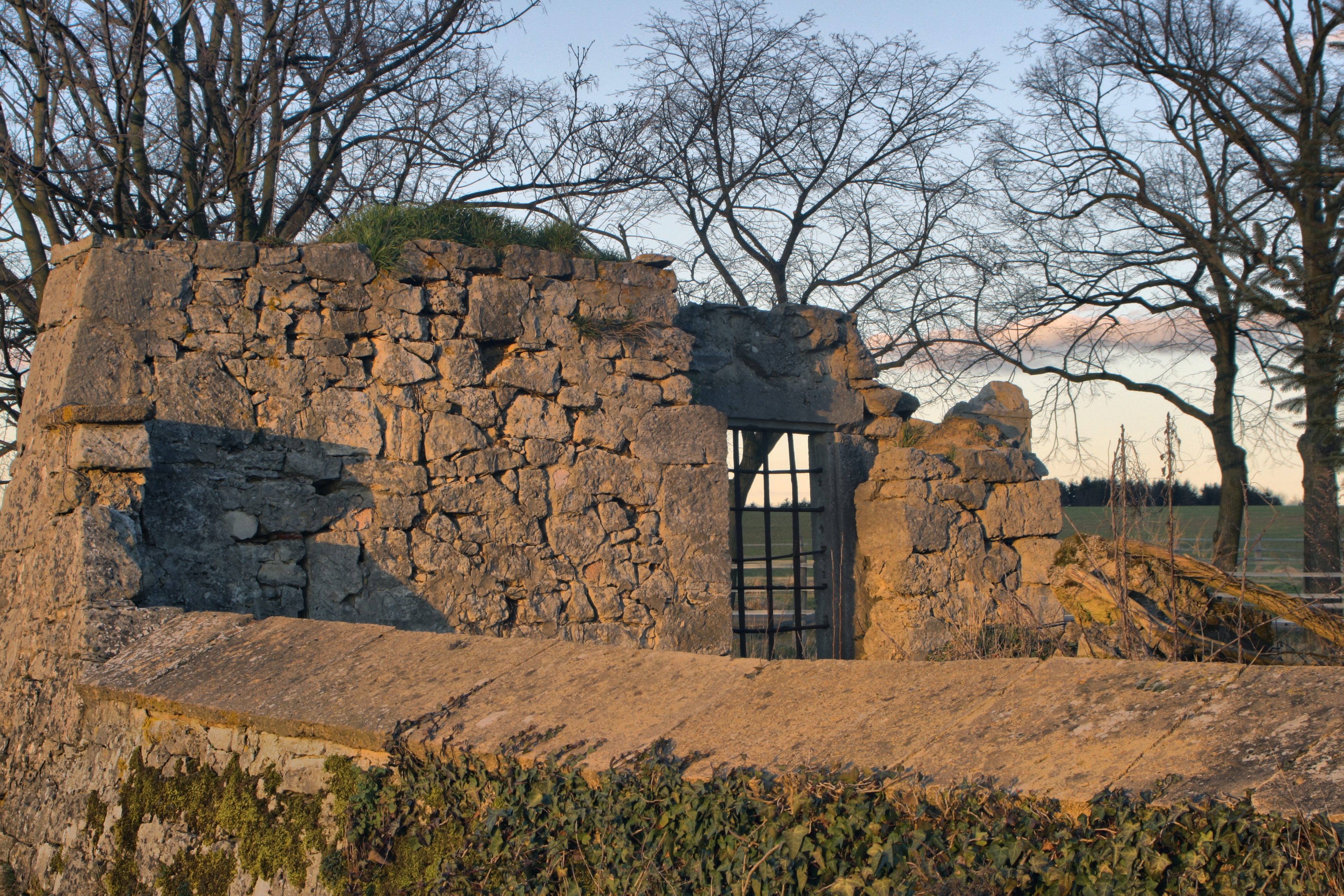 20080323084300-54.jpg