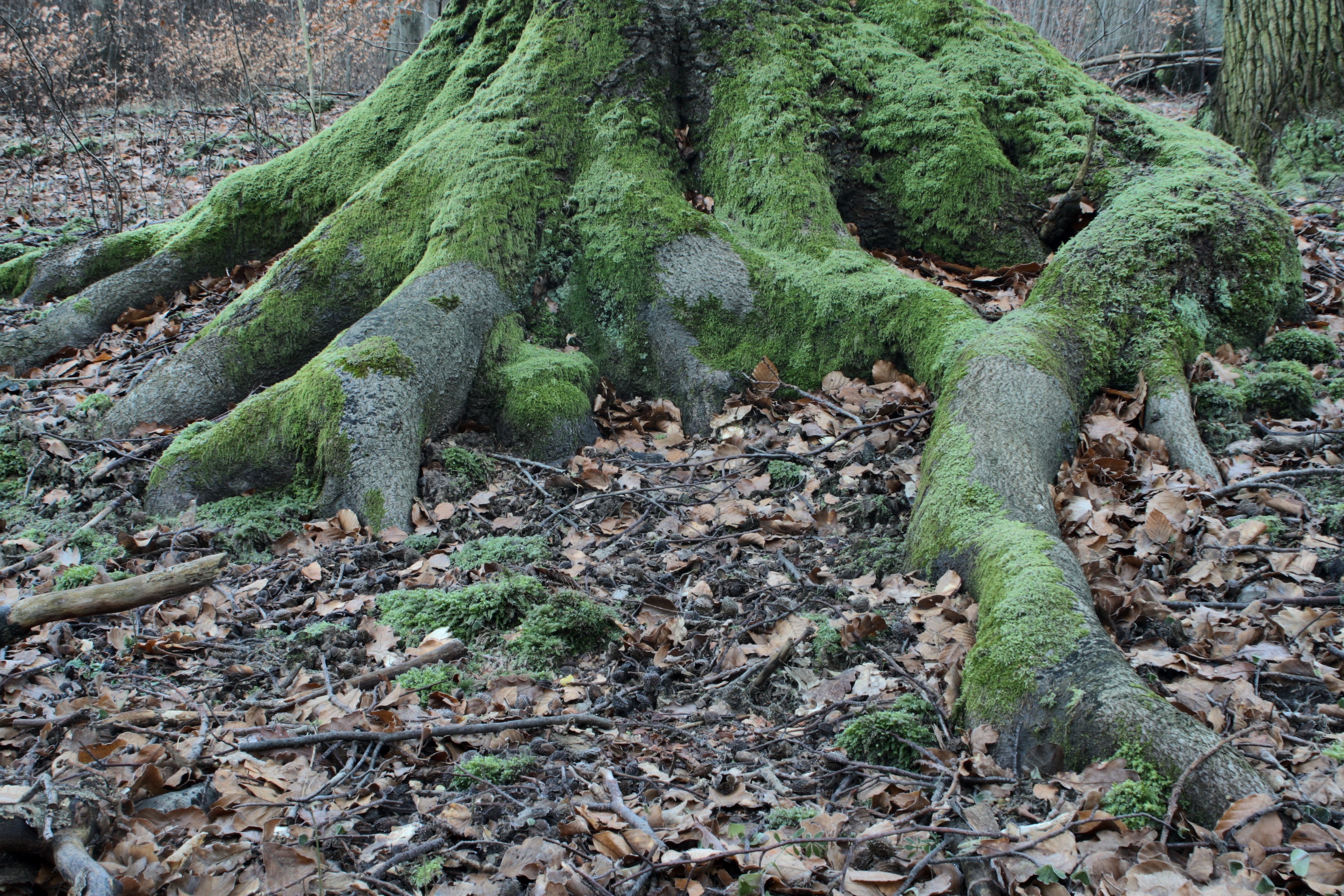 20080323084300-8.jpg