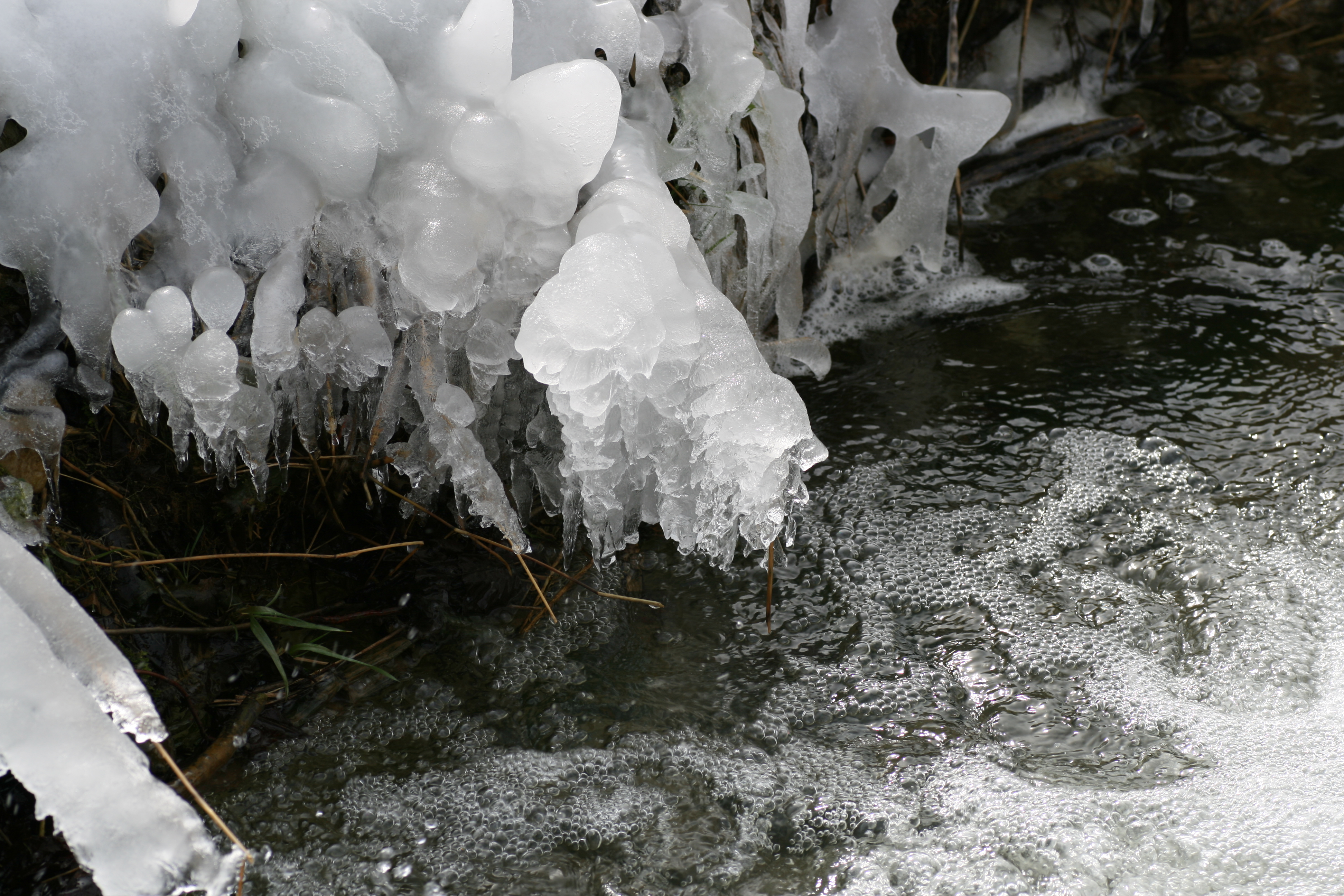 20080324121812.jpg