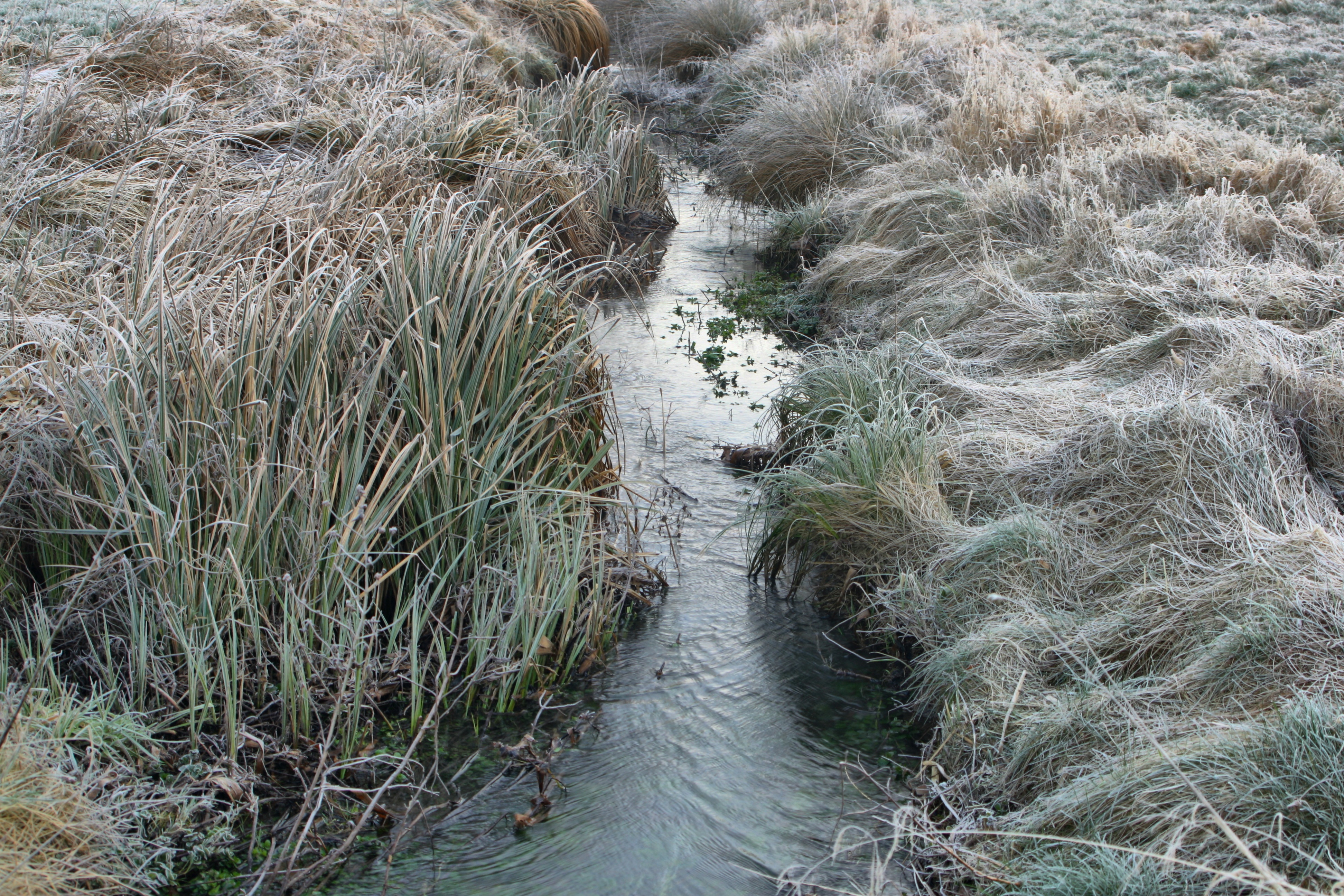 20080324212300-6.jpg