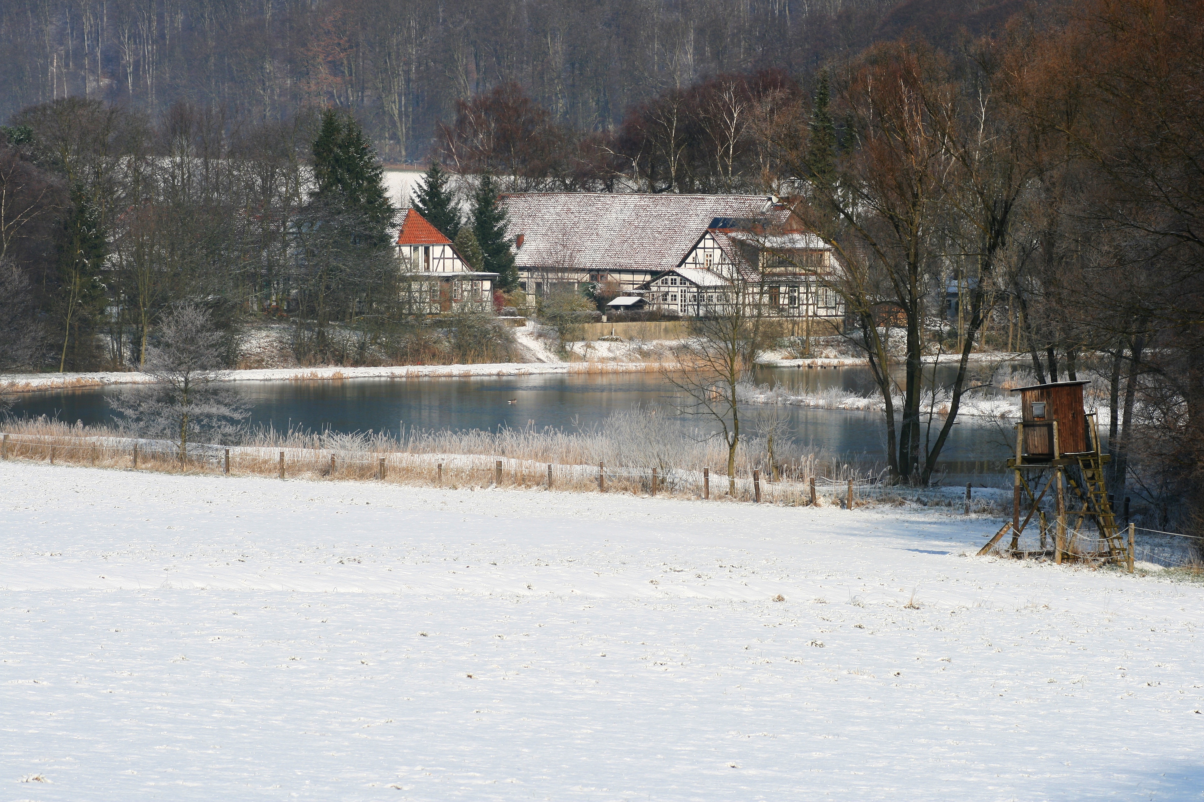 20080327081602.jpg
