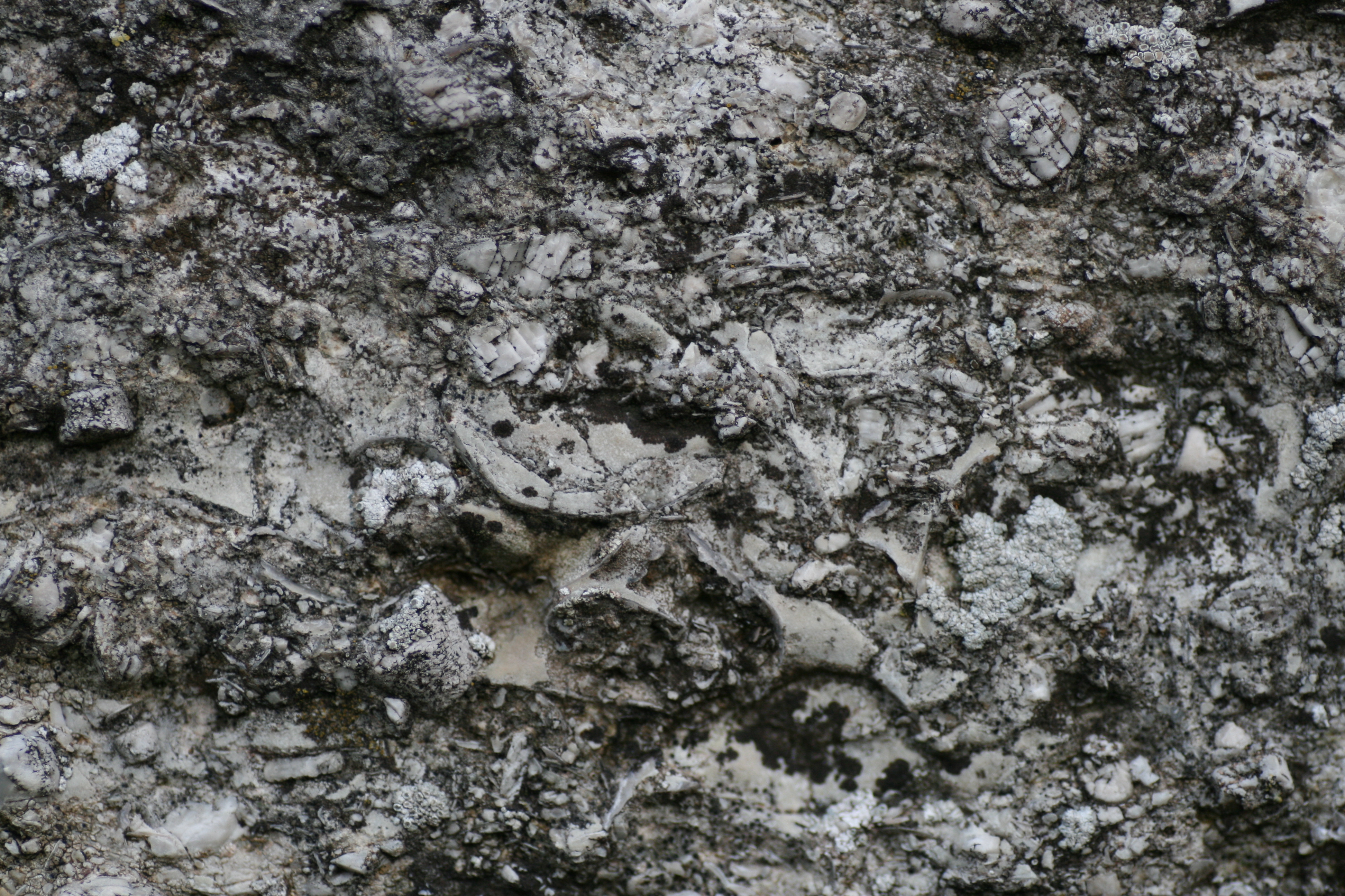 20080327172937.jpg