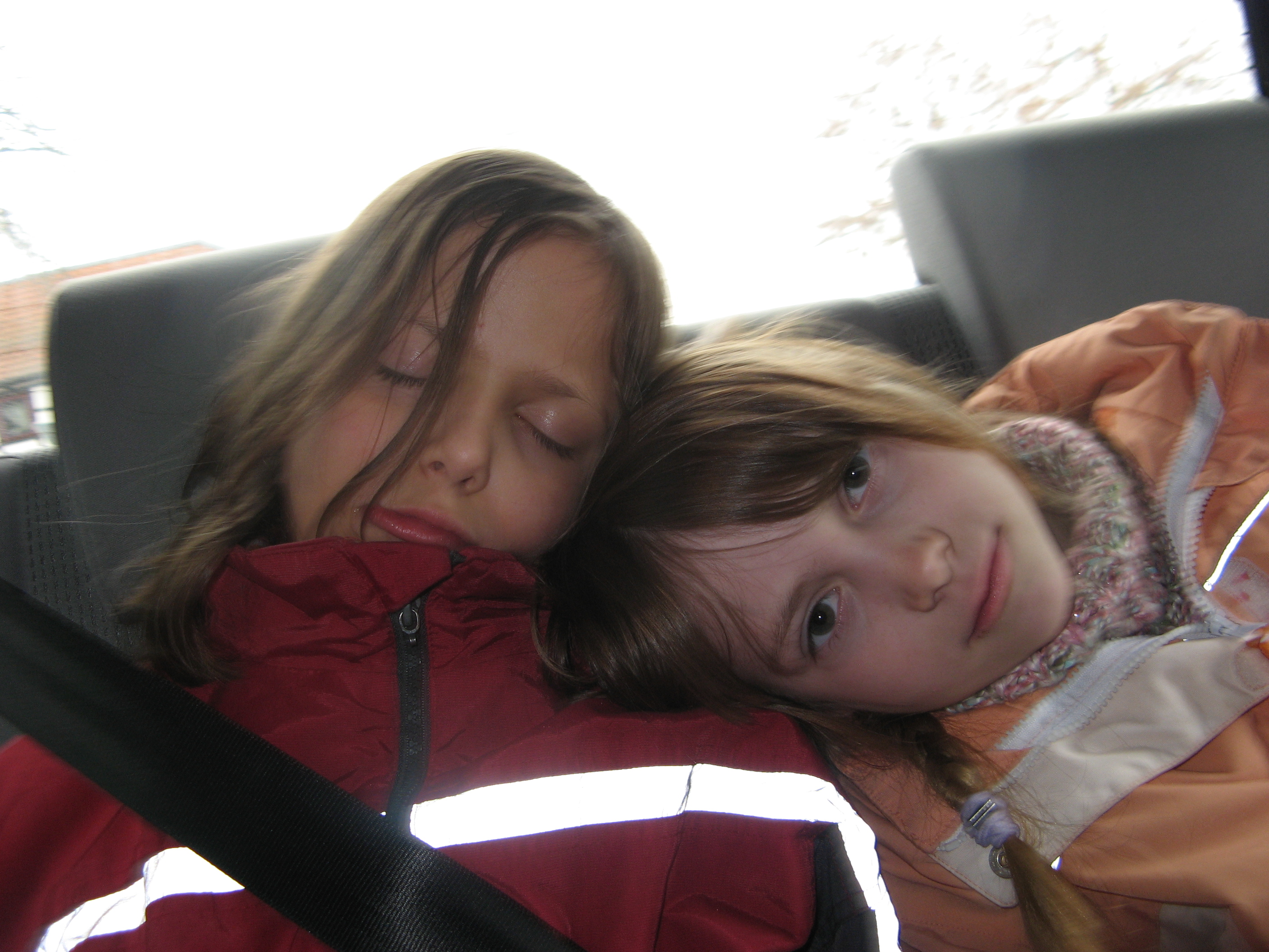 20080328131932.jpg
