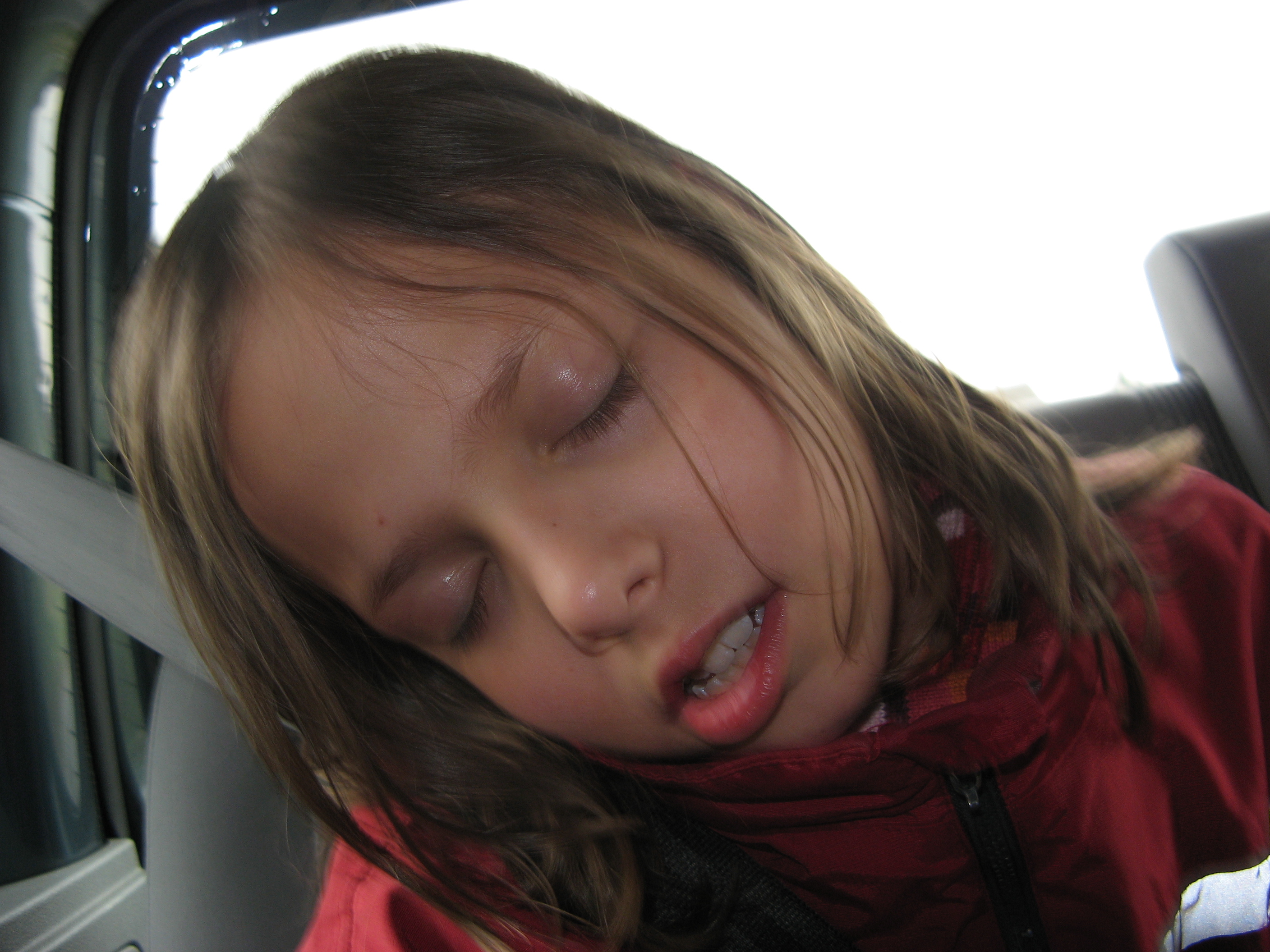 20080328132002.jpg