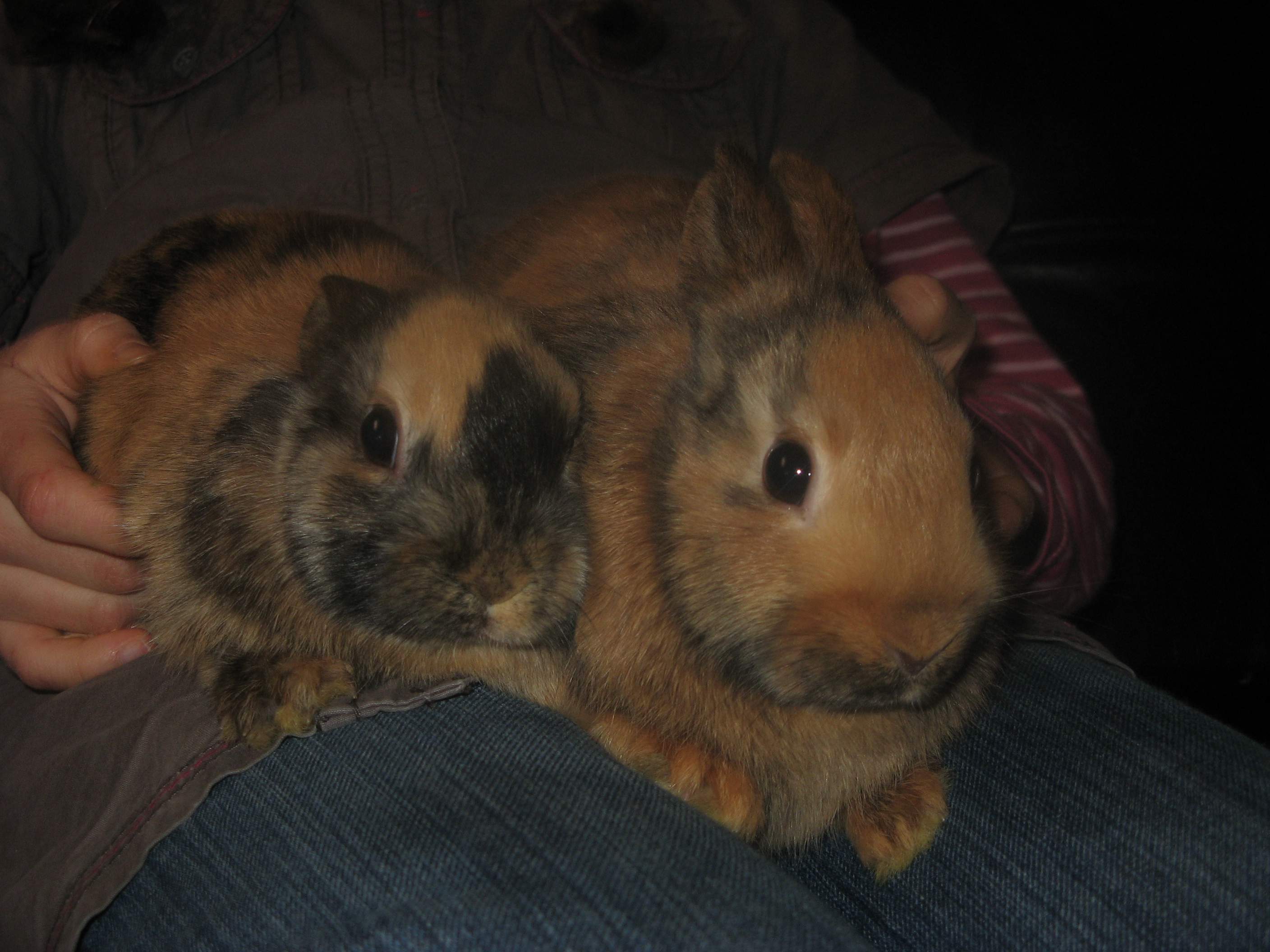 20080329144135.jpg