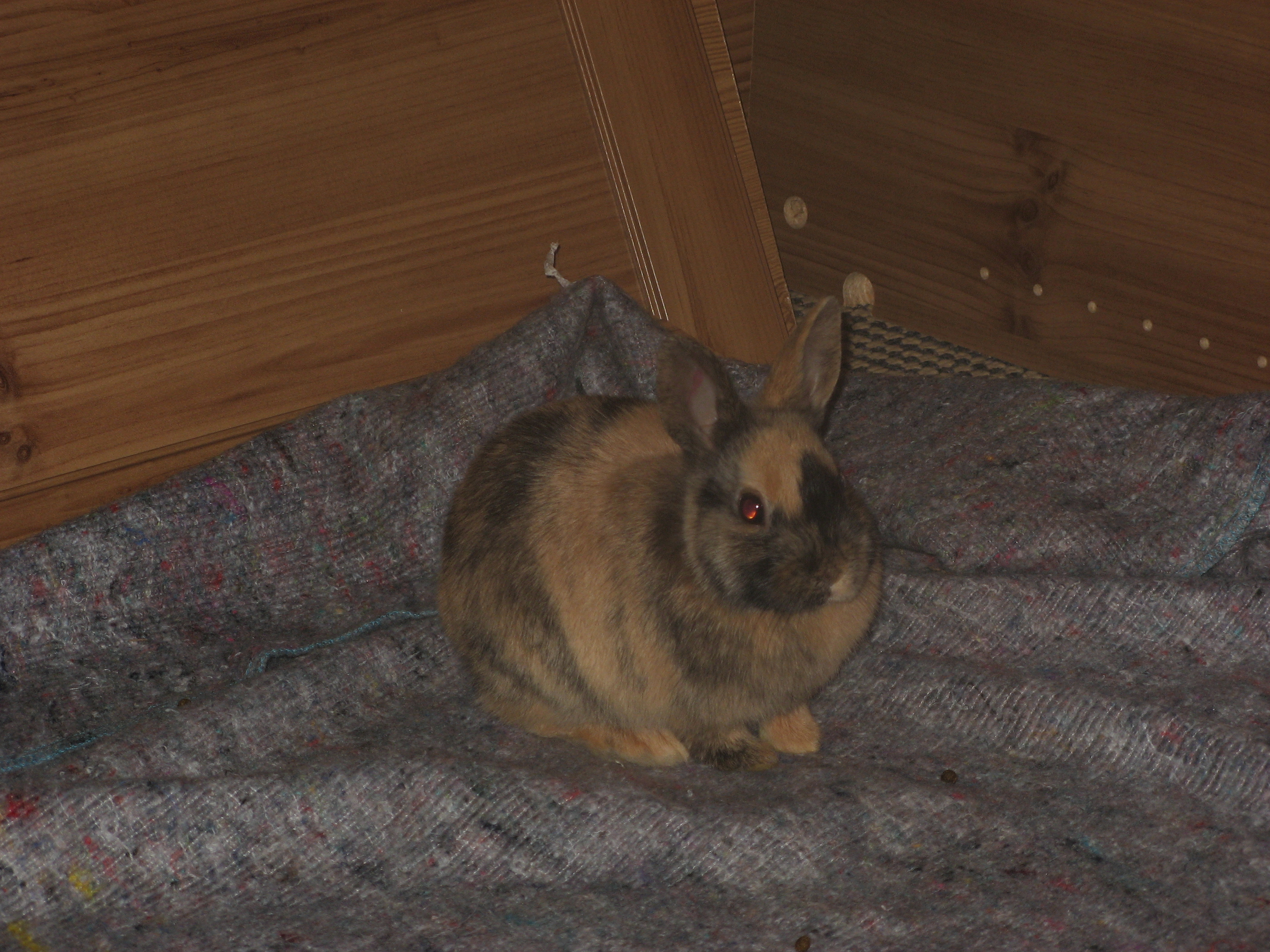 20080403165133.jpg