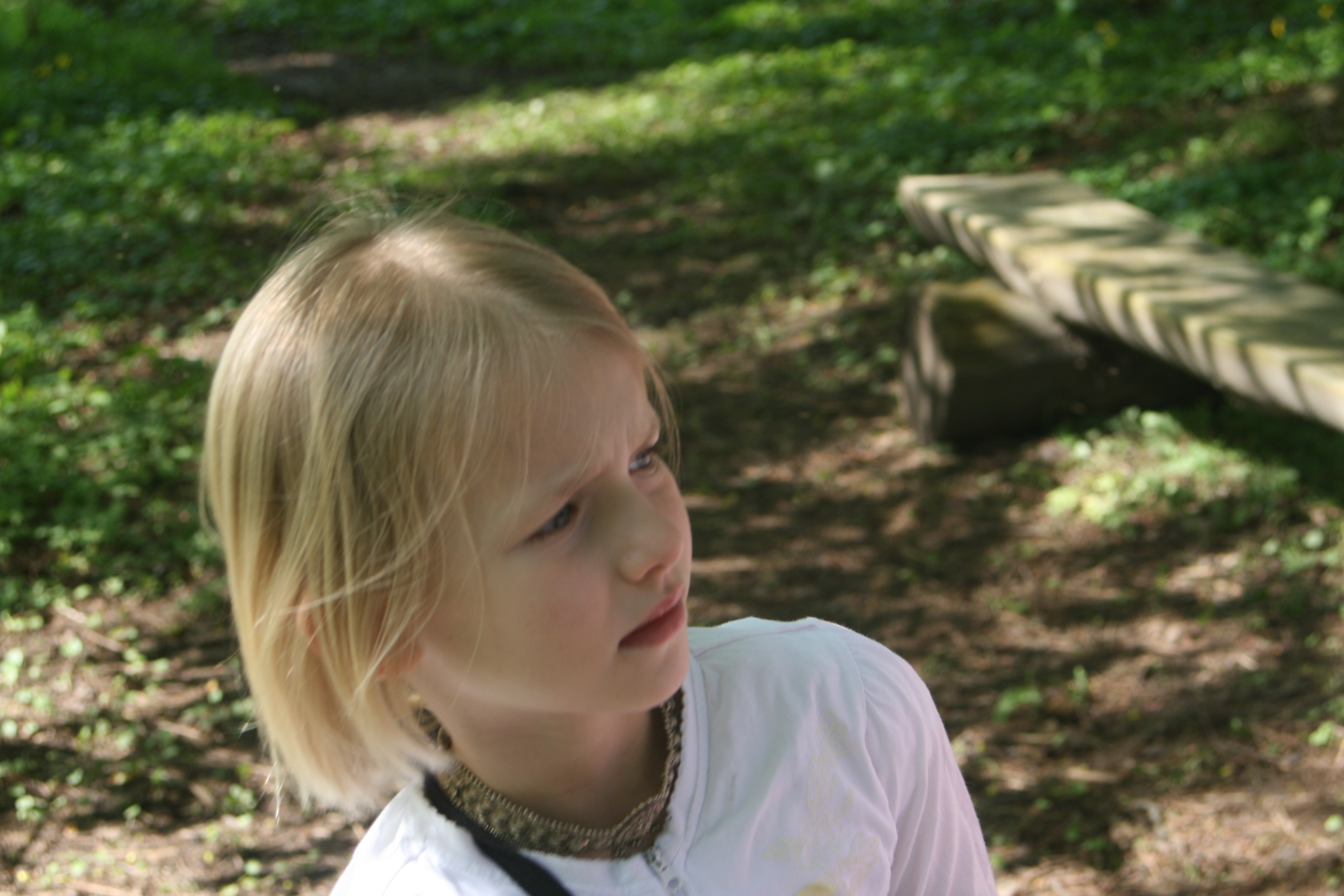 20080503152616.jpg