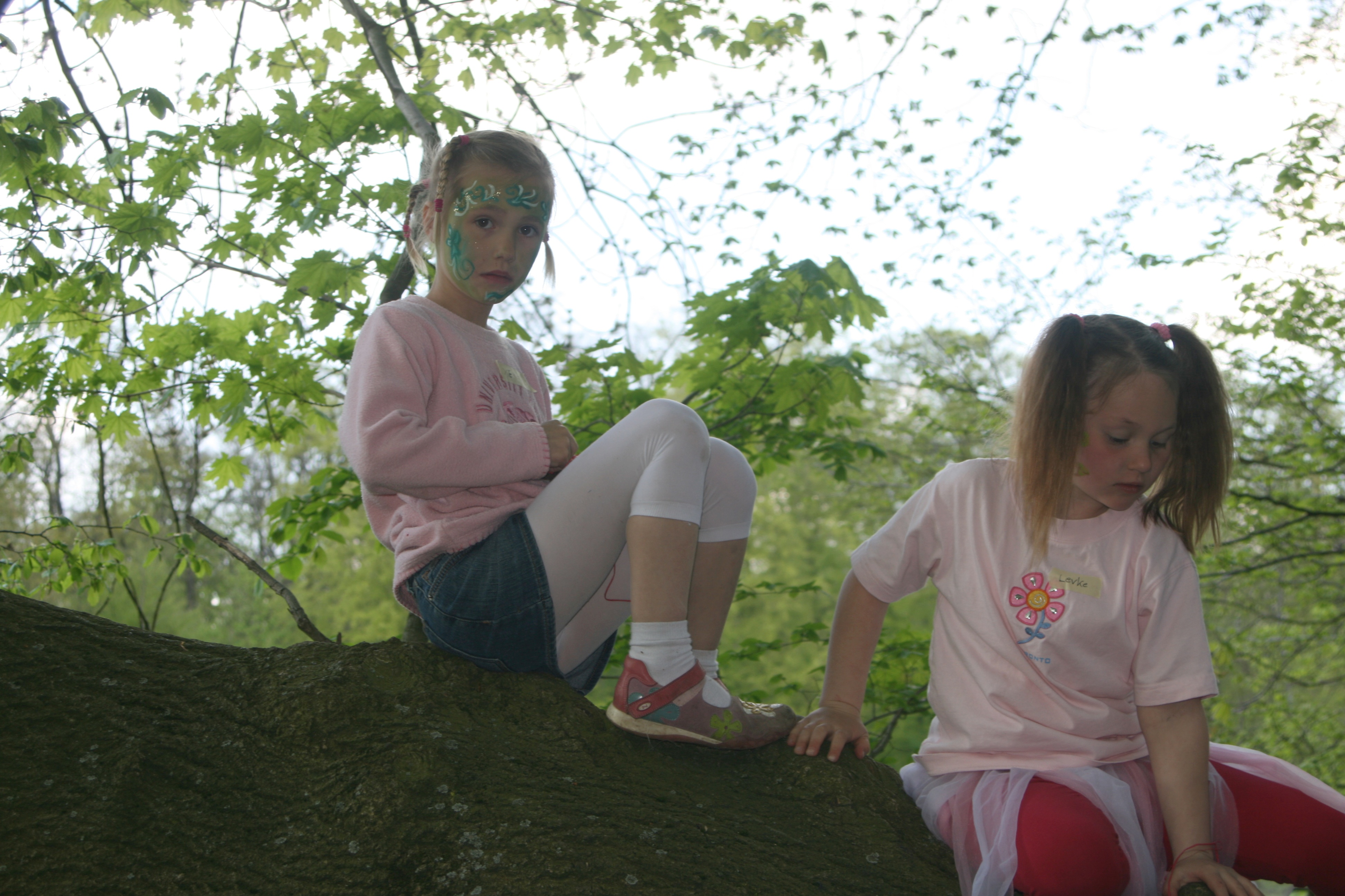 20080503160037.jpg