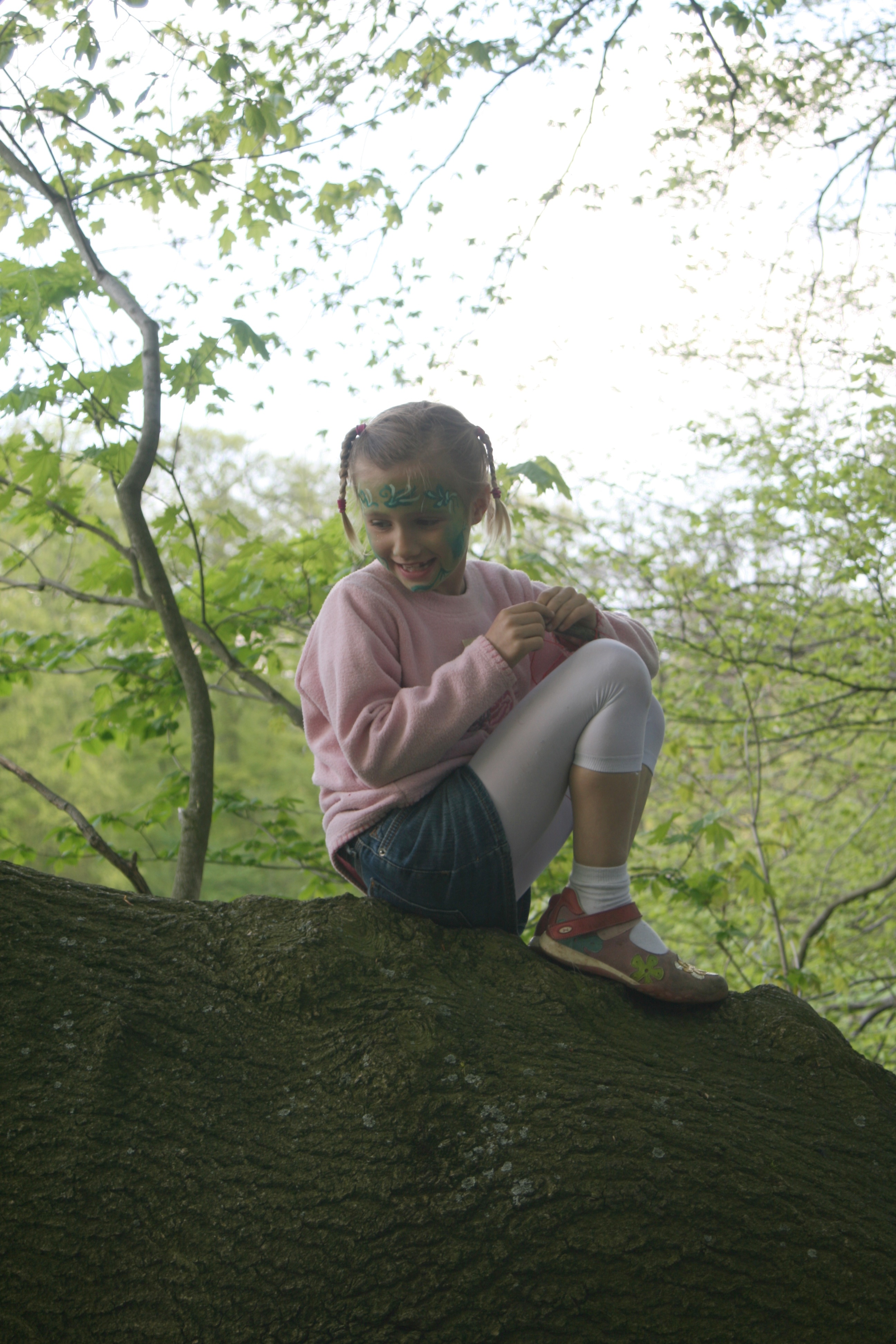 20080503160146.jpg