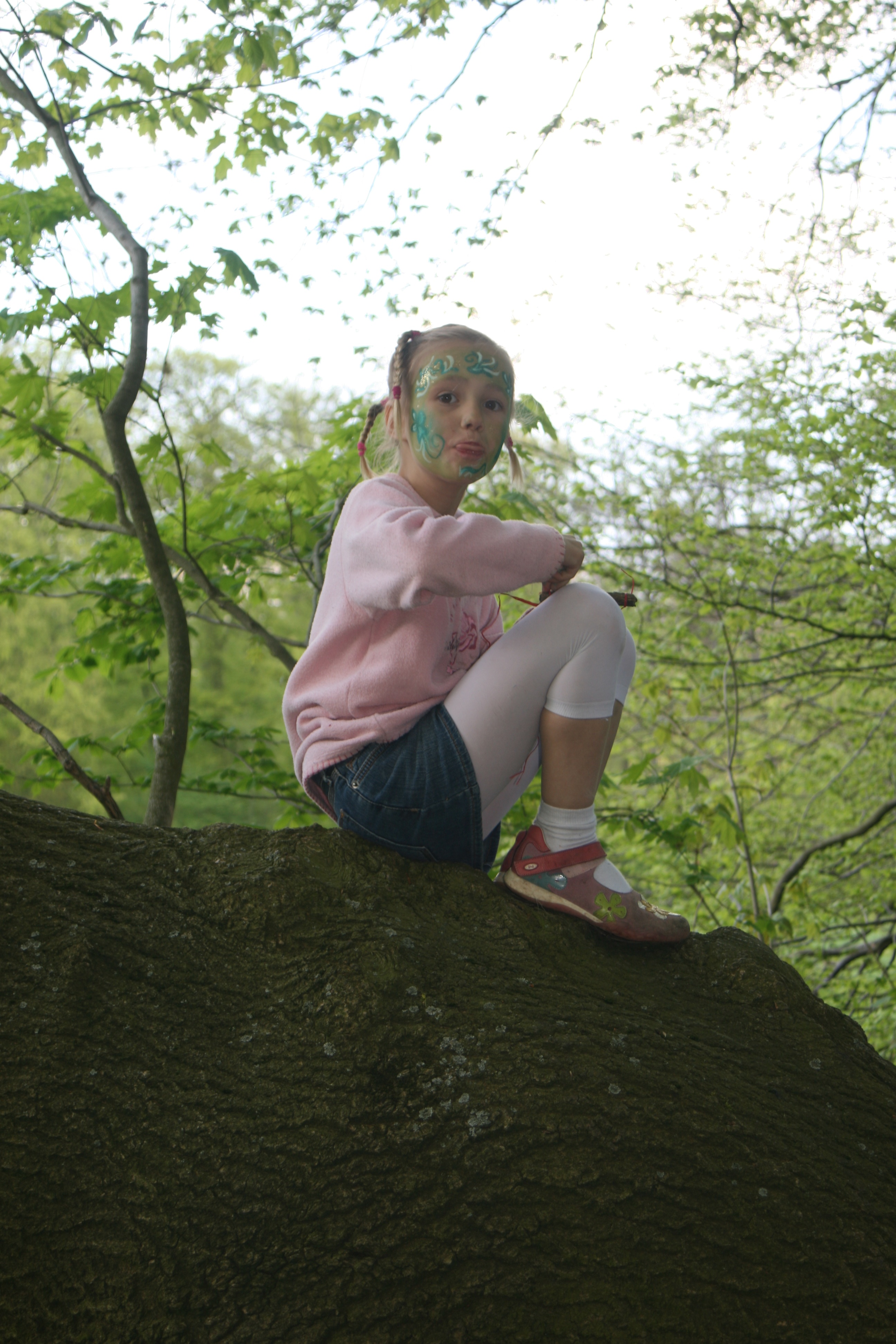 20080503160156.jpg