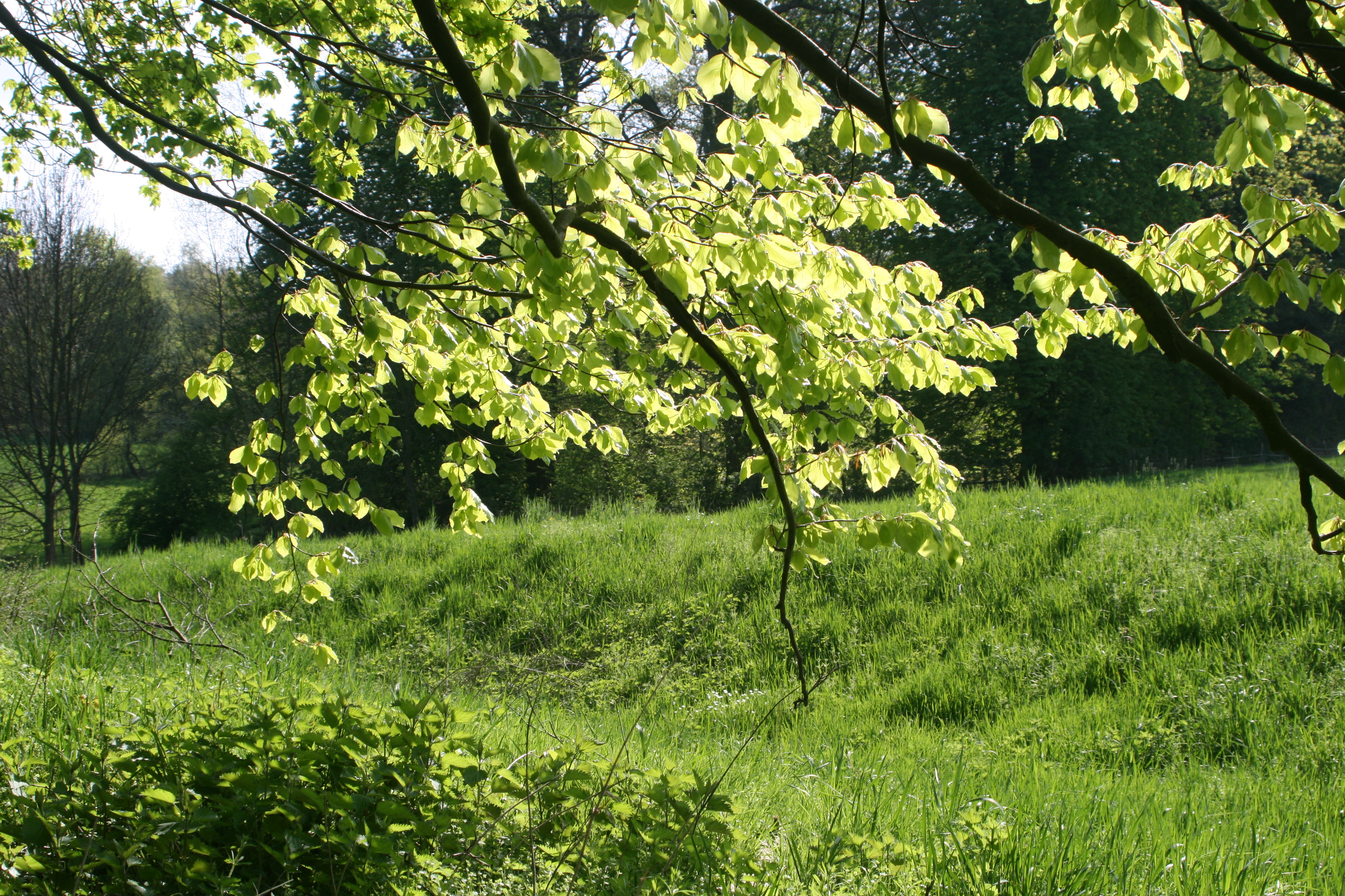 20080503162104.jpg