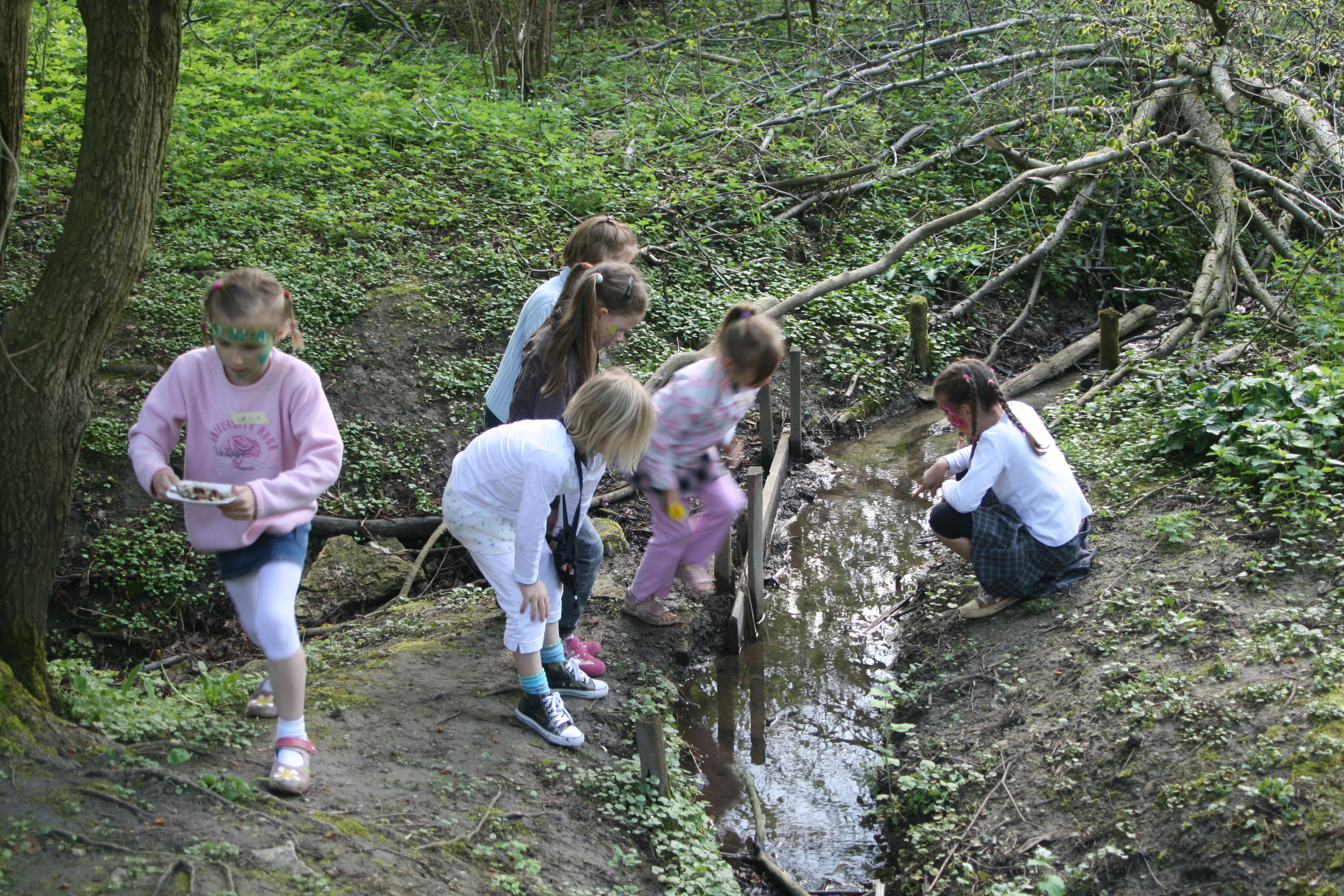20080503164242.jpg