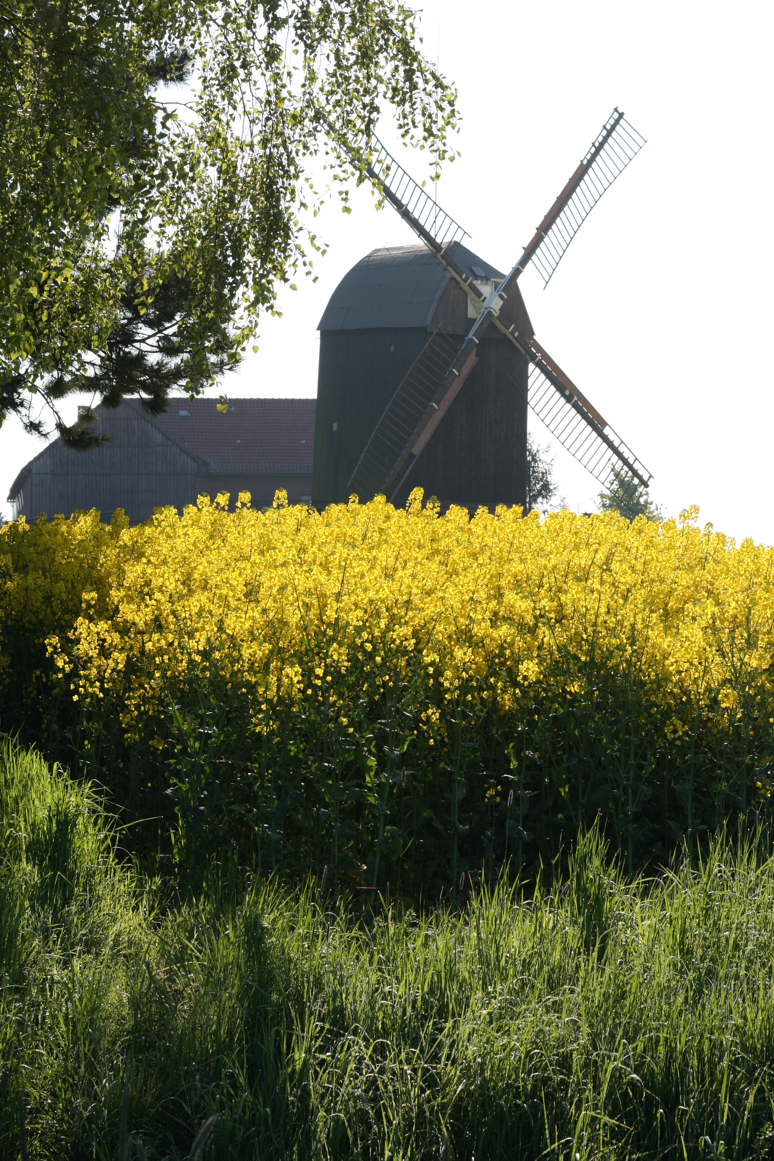 20080504085747.jpg