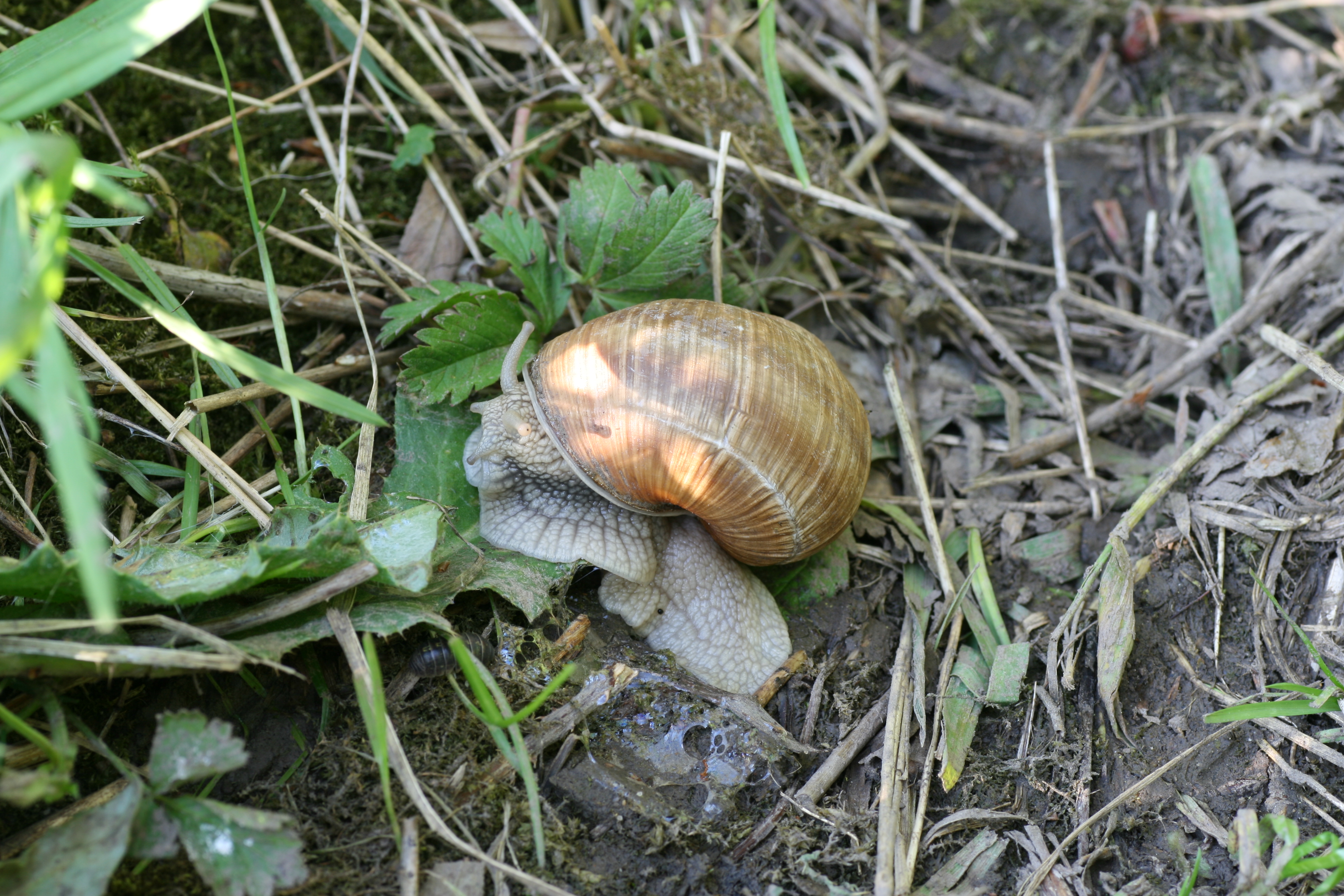 20080505180051.jpg