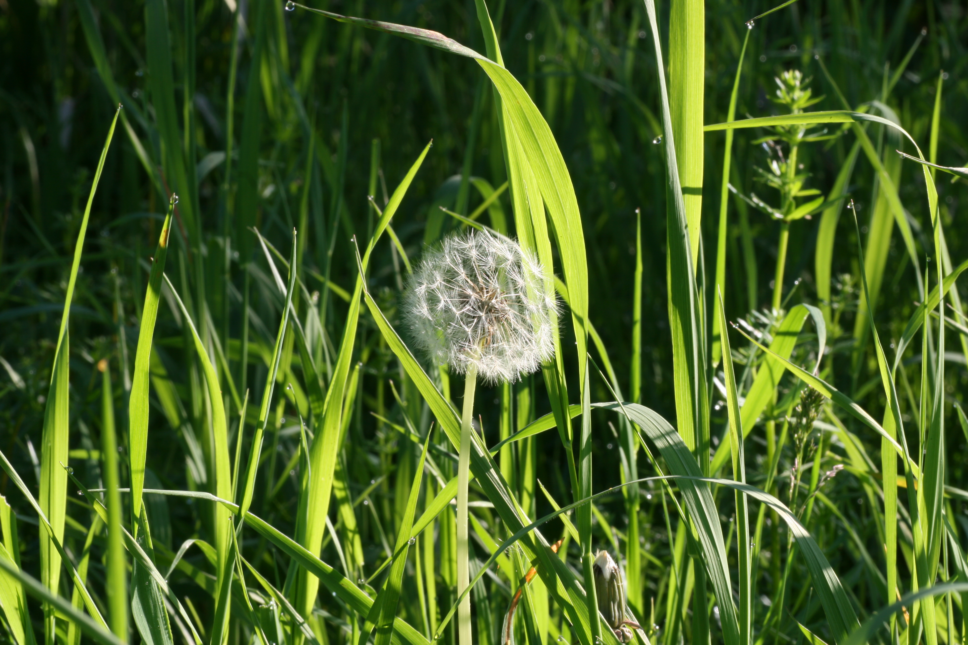 20080506081717.jpg