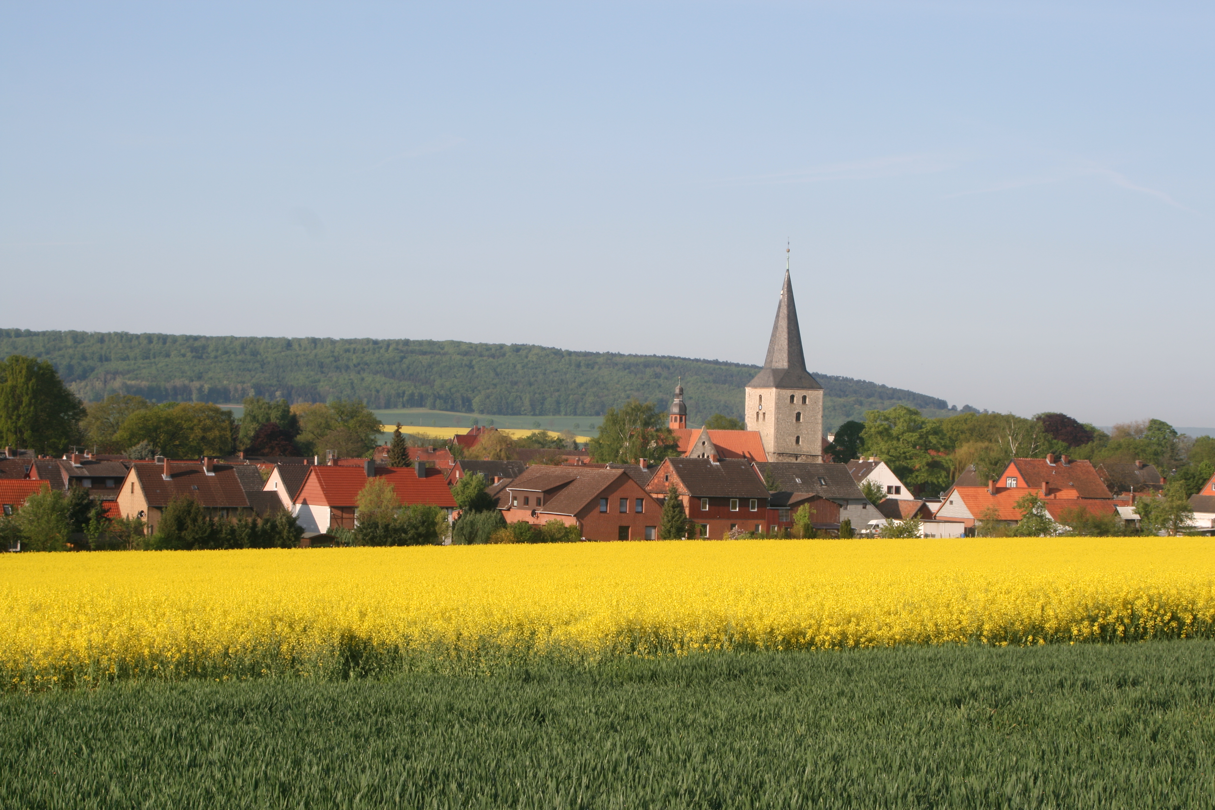 20080507075247.jpg