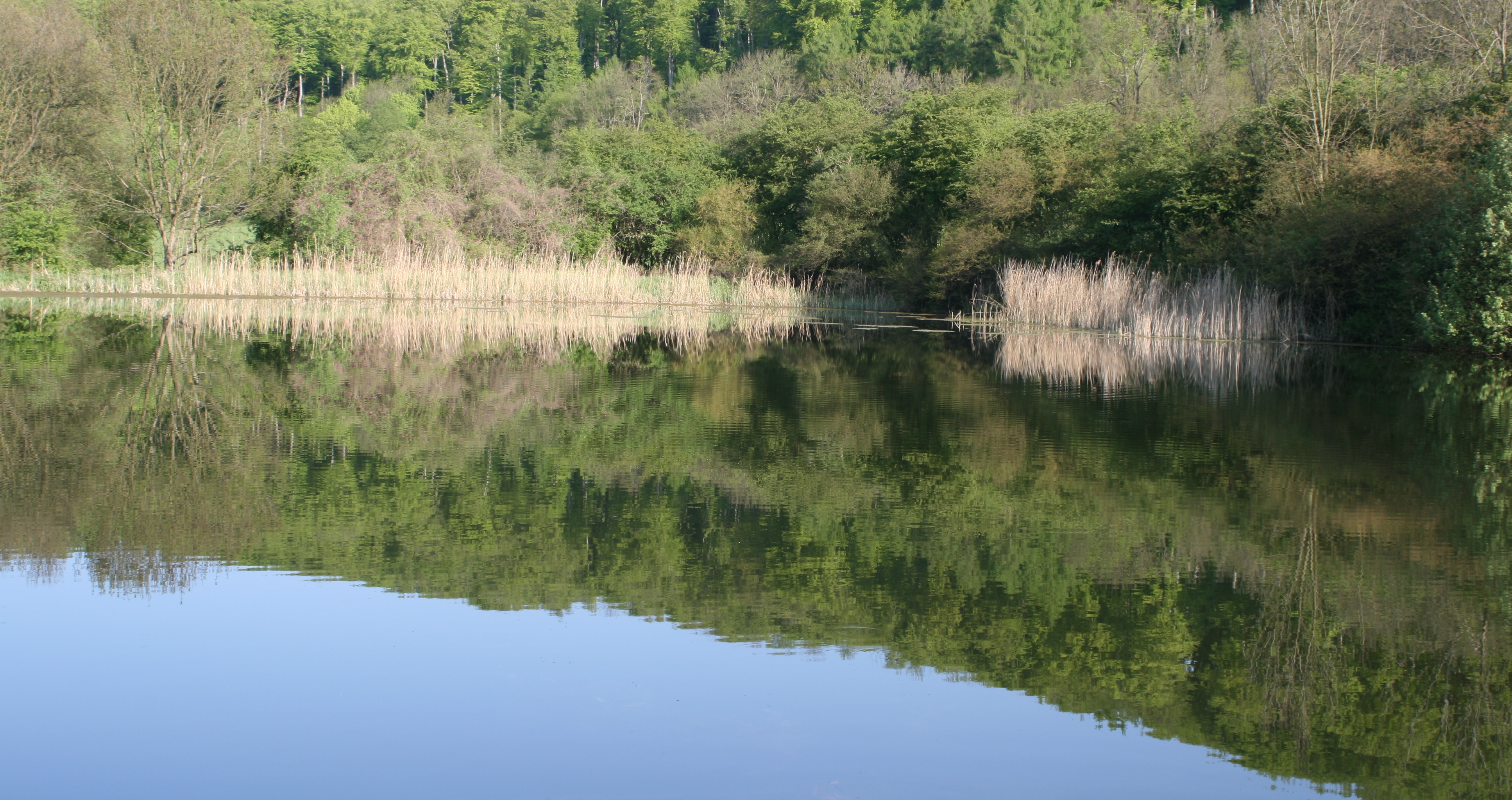 20080507082425.jpg