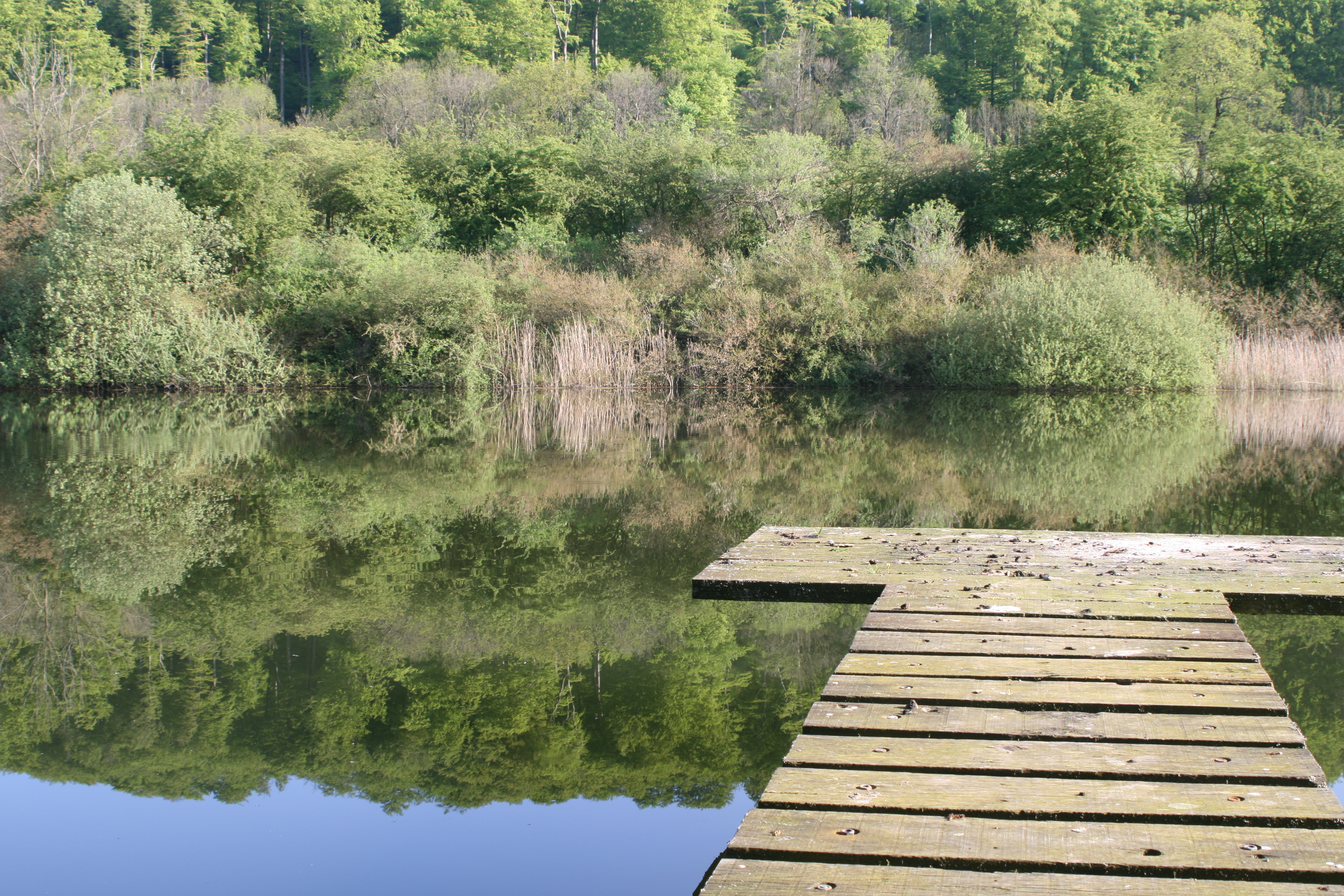 20080507082655.jpg