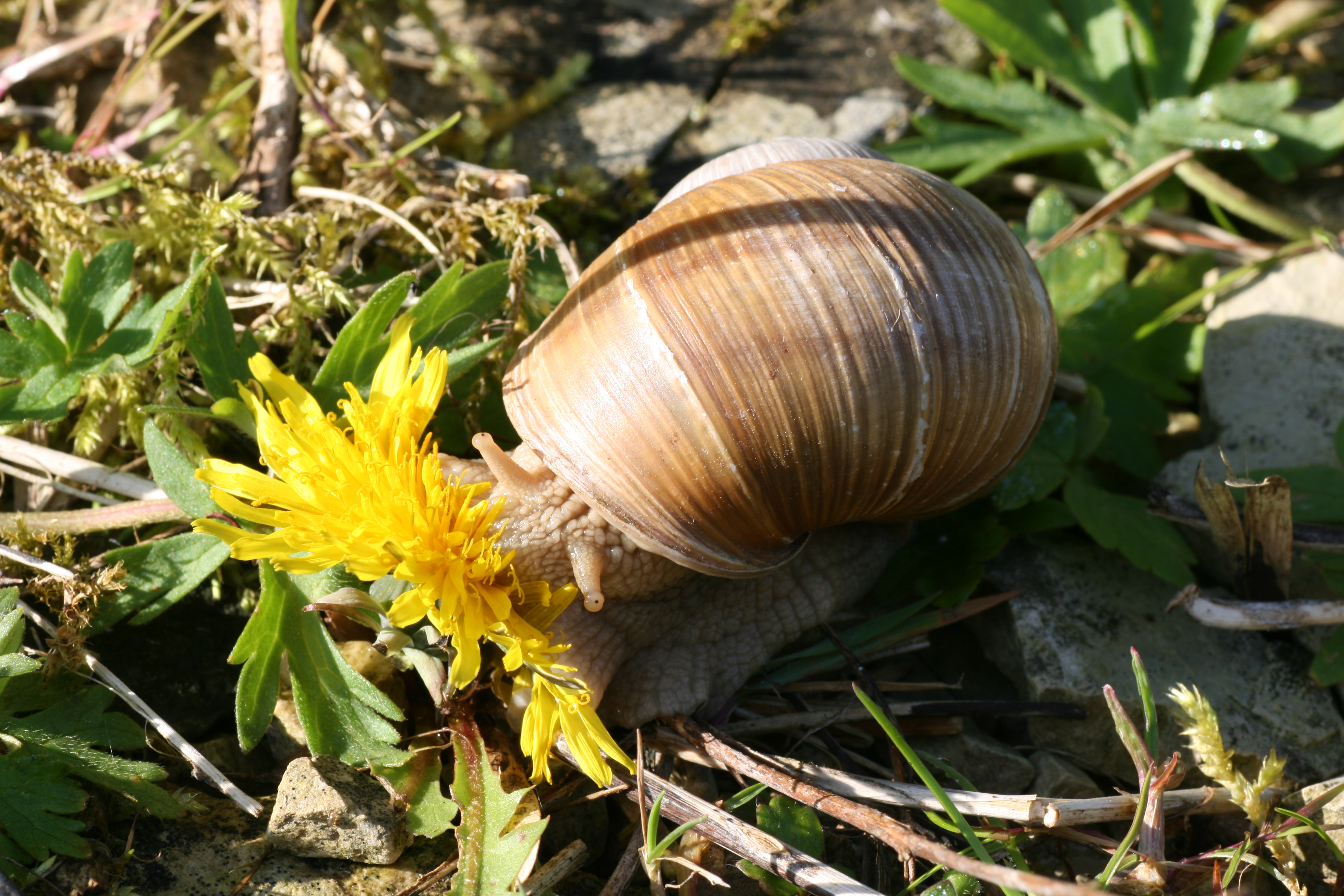 20080507084945.jpg