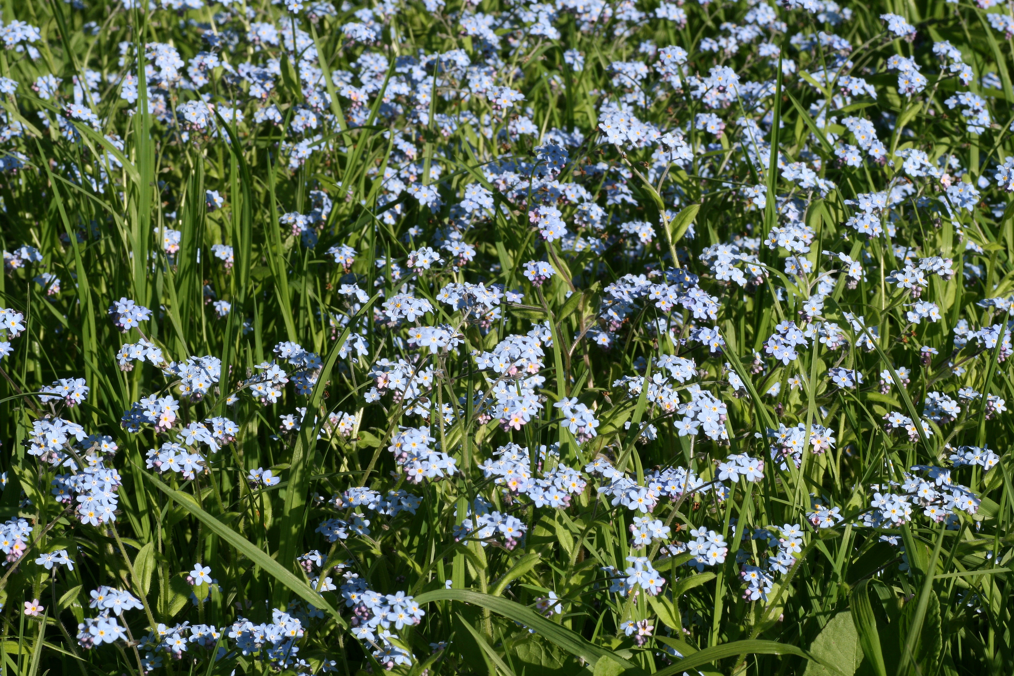 20080508180006.jpg