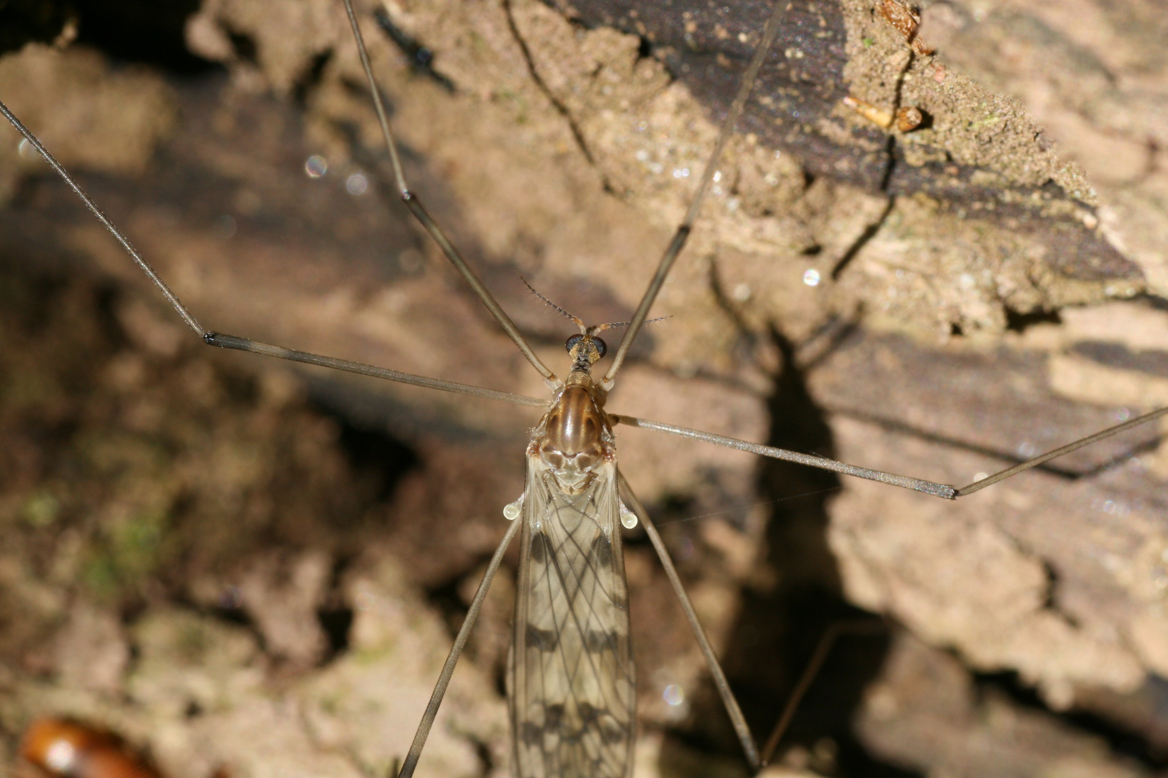 20080509083415.jpg