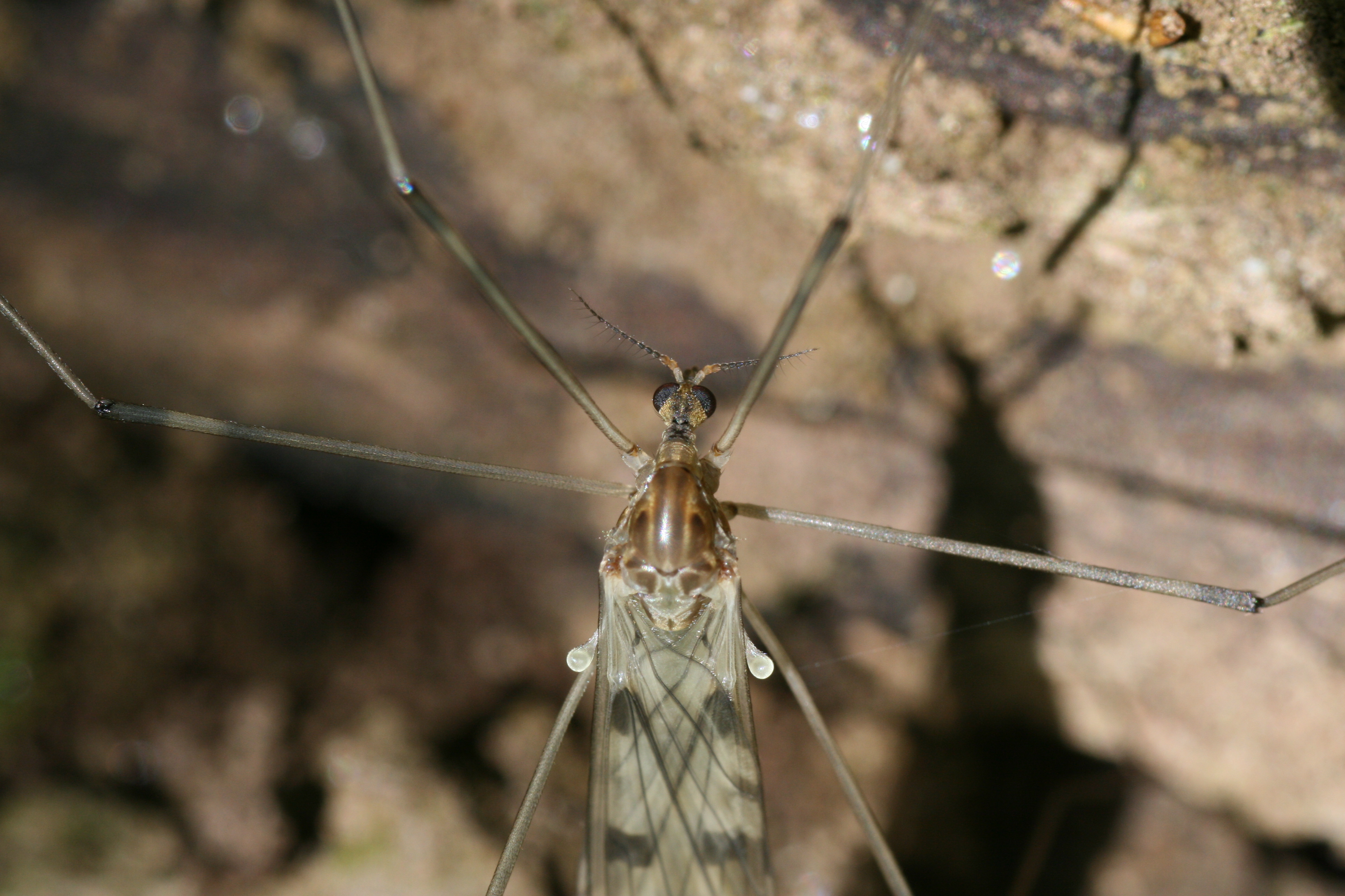 20080509083458.jpg