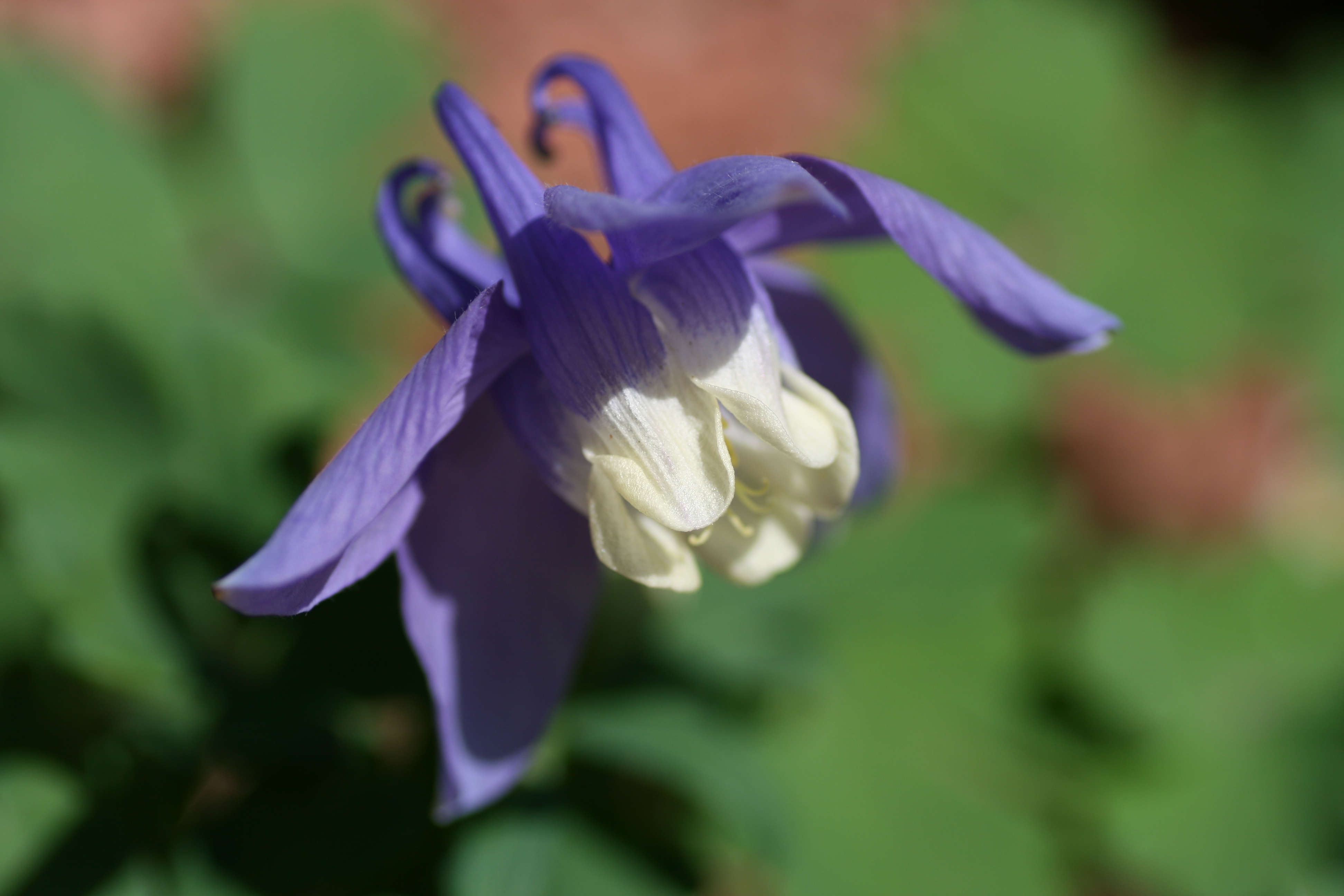 20080510162759.jpg