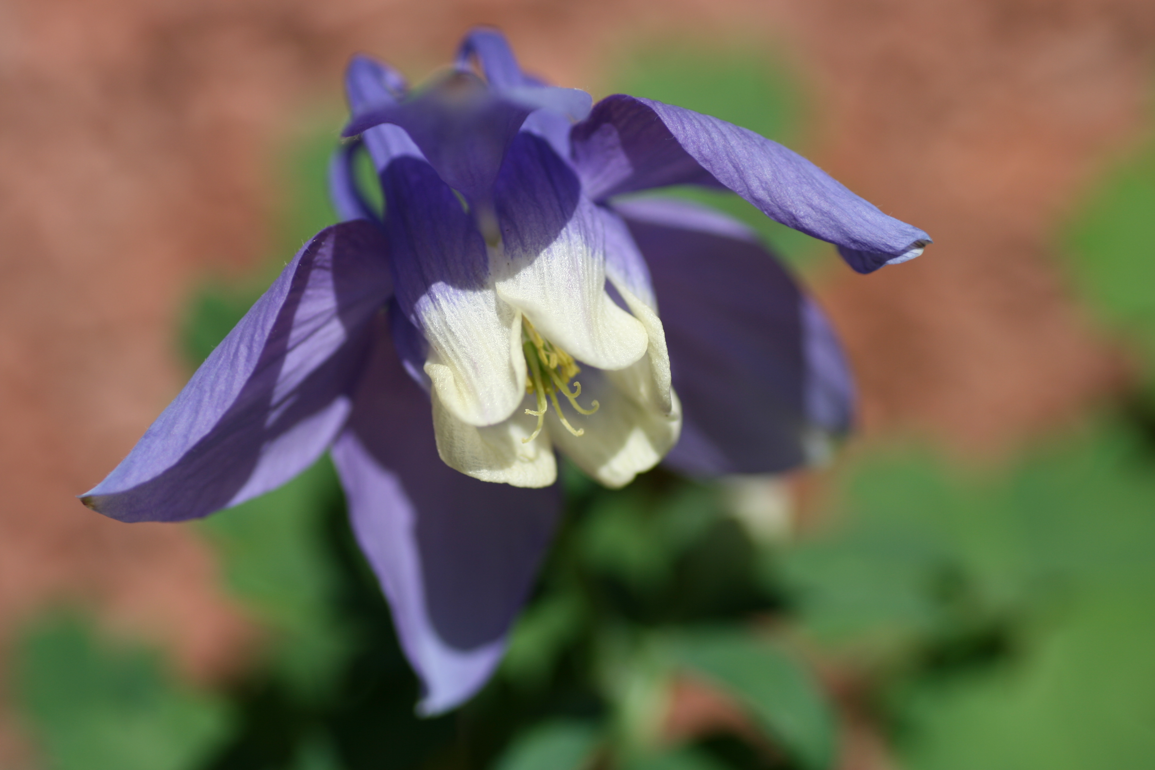 20080510162814.jpg