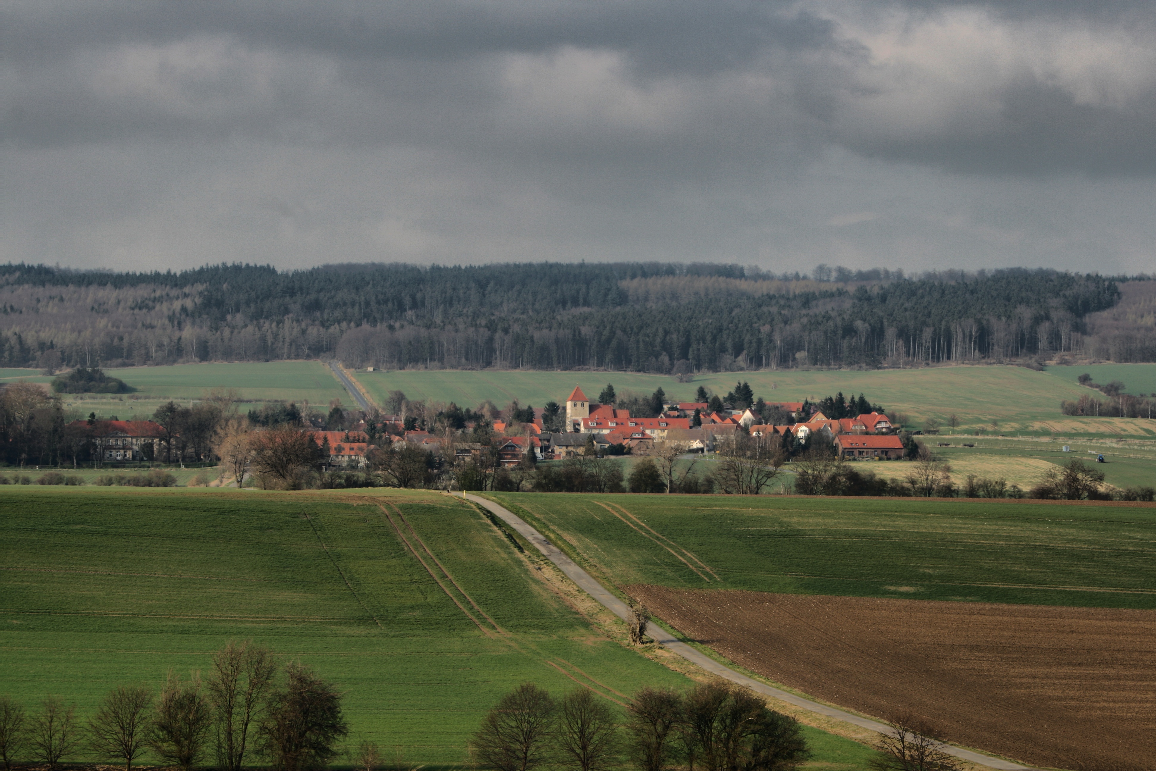 20080513214300-2.jpg