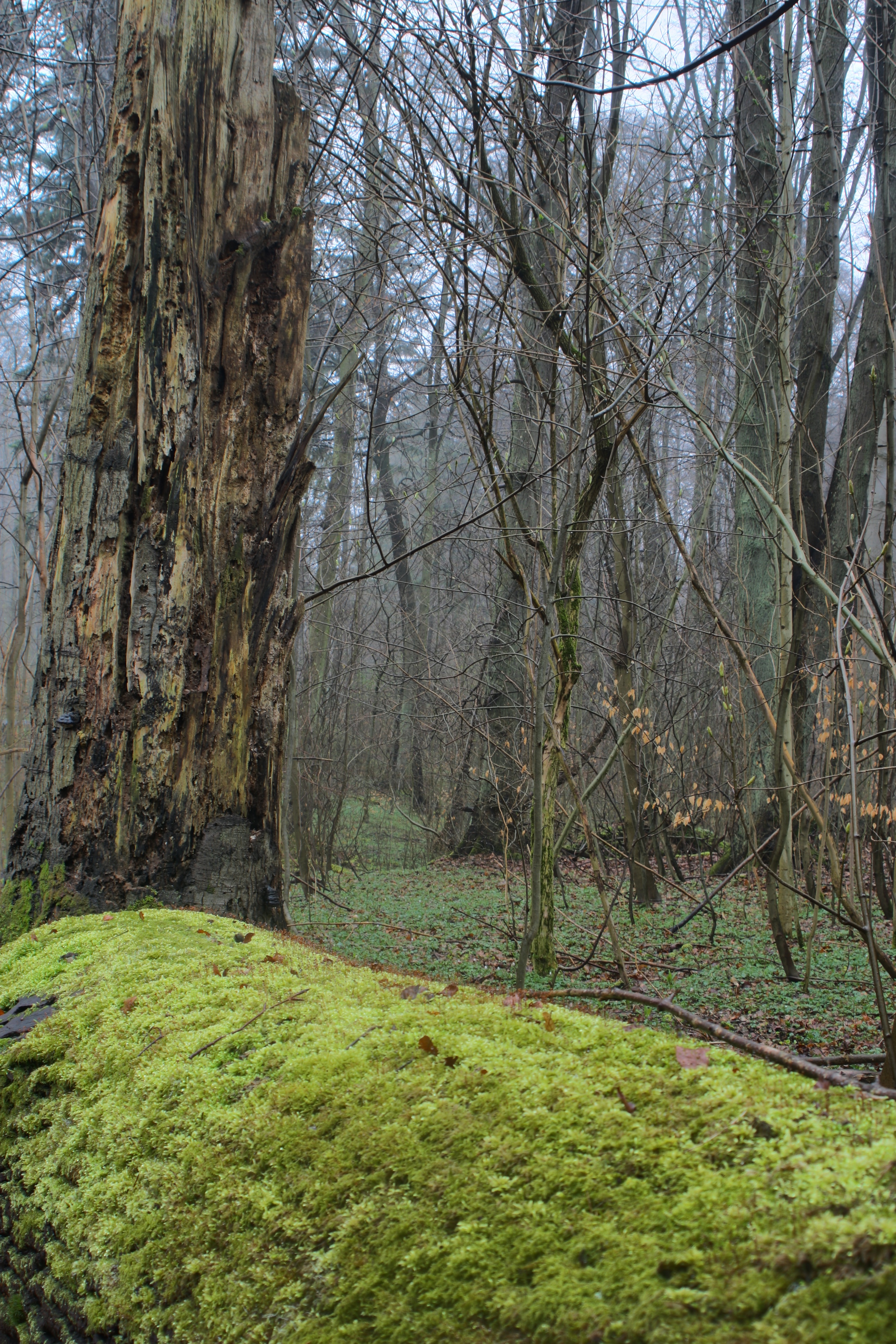 20080514030100-2.jpg