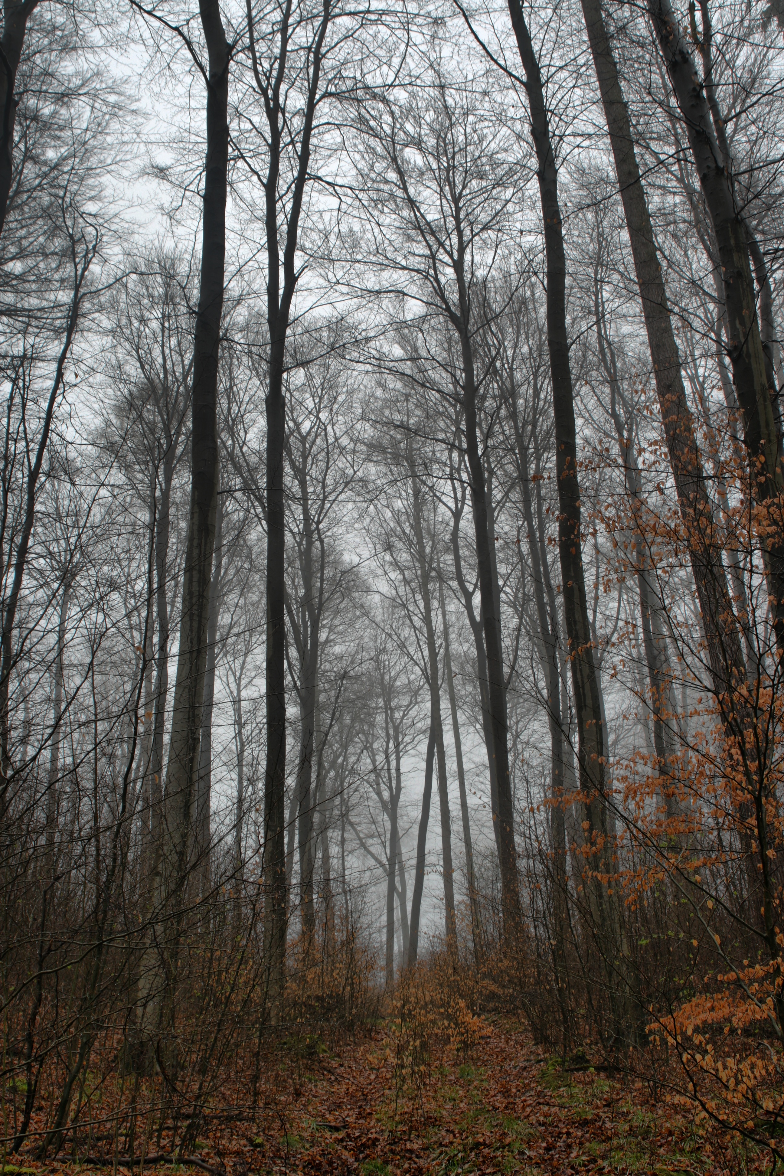 20080514030100-3.jpg
