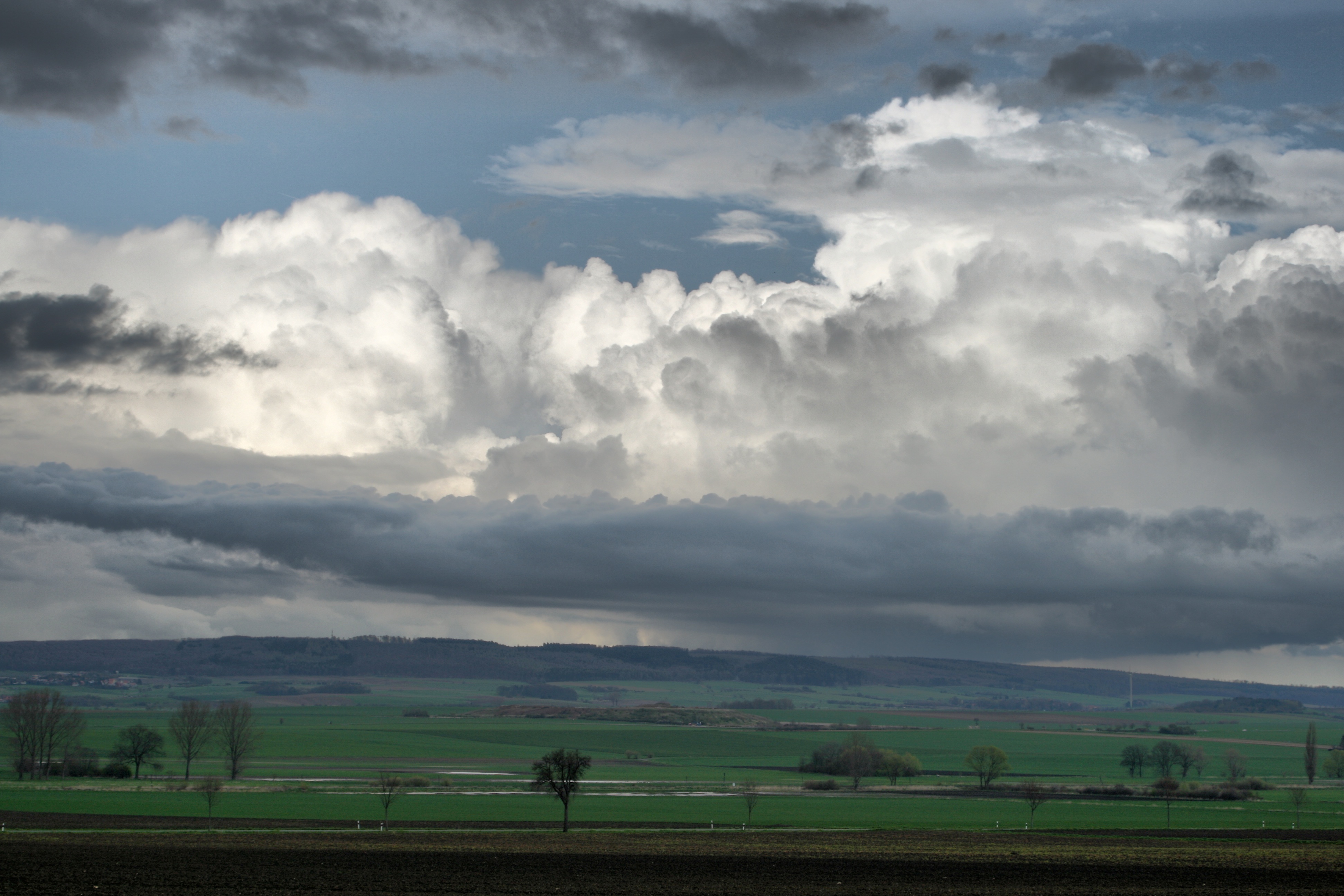 20080514031100-3.jpg