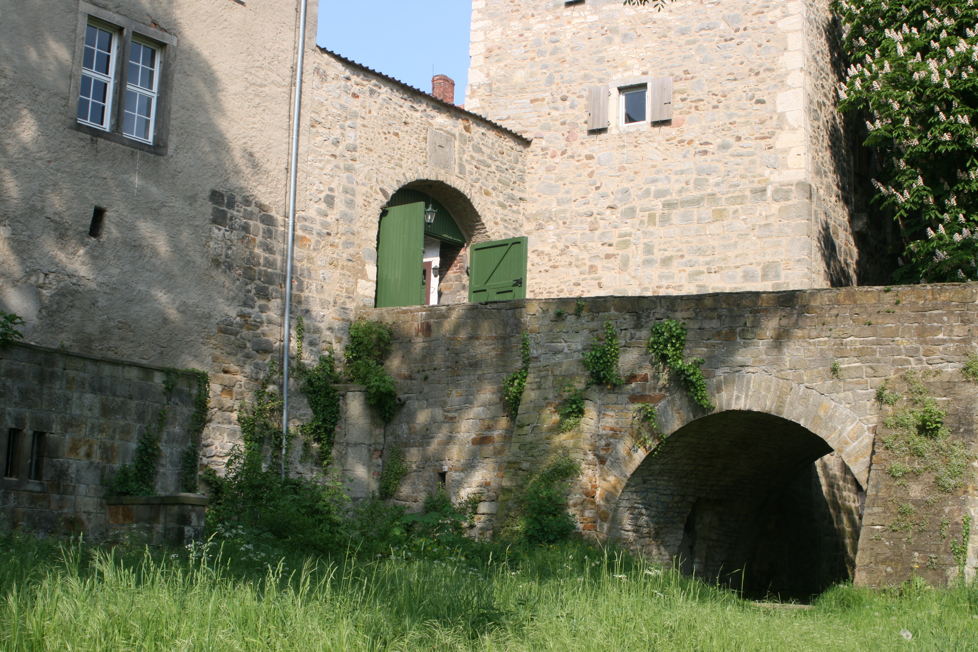 20080515164637.jpg