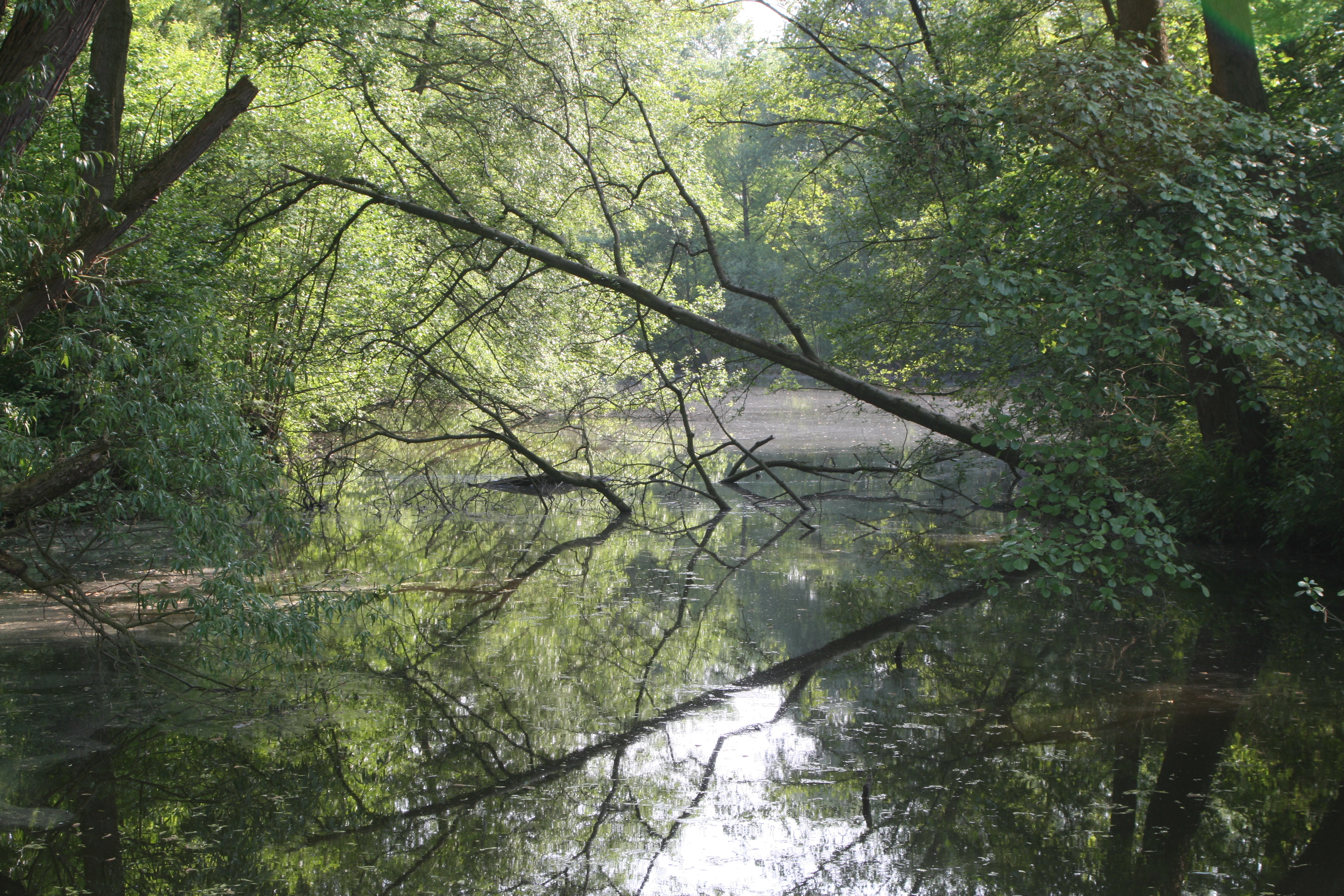 20080515164813.jpg