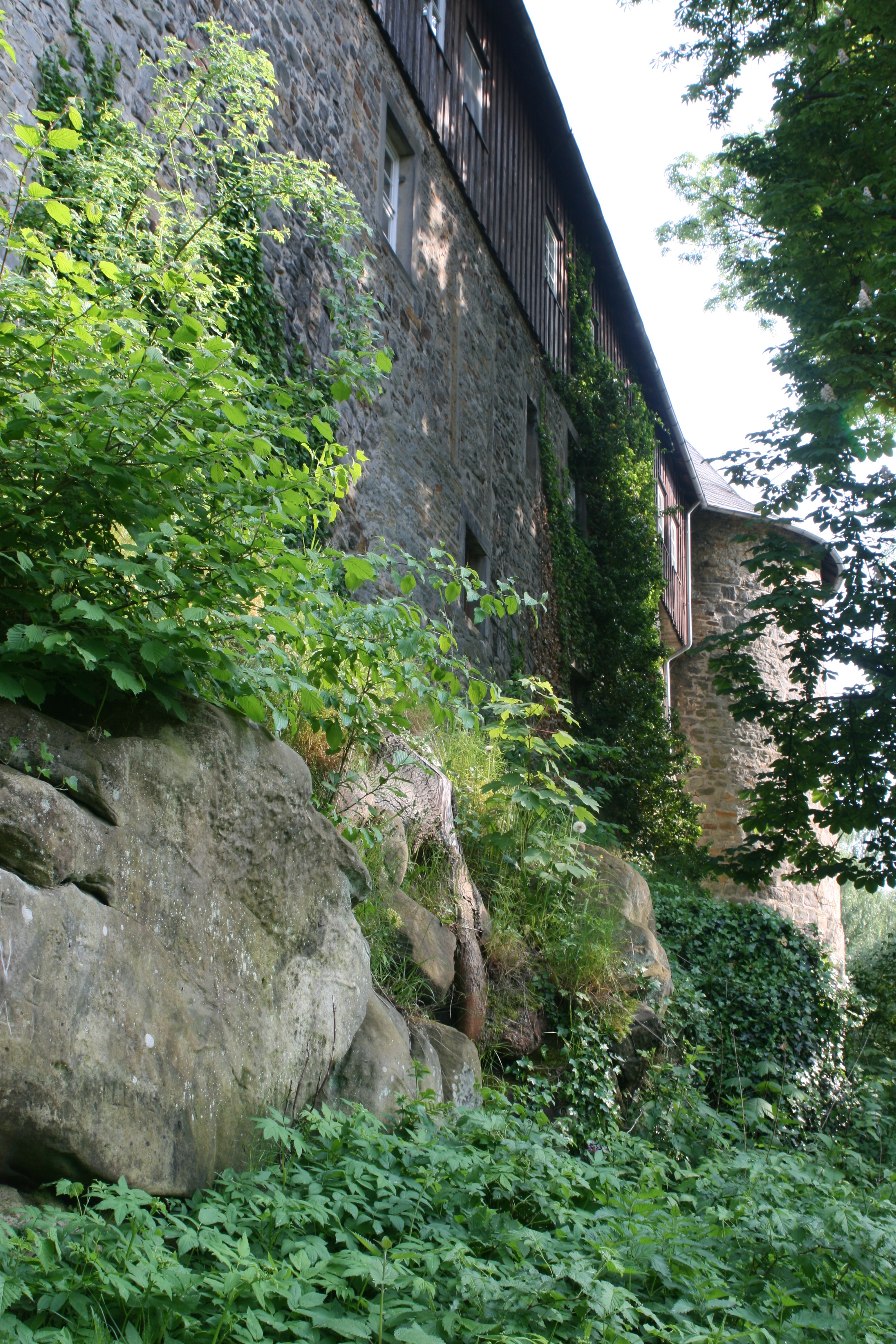 20080515165225.jpg