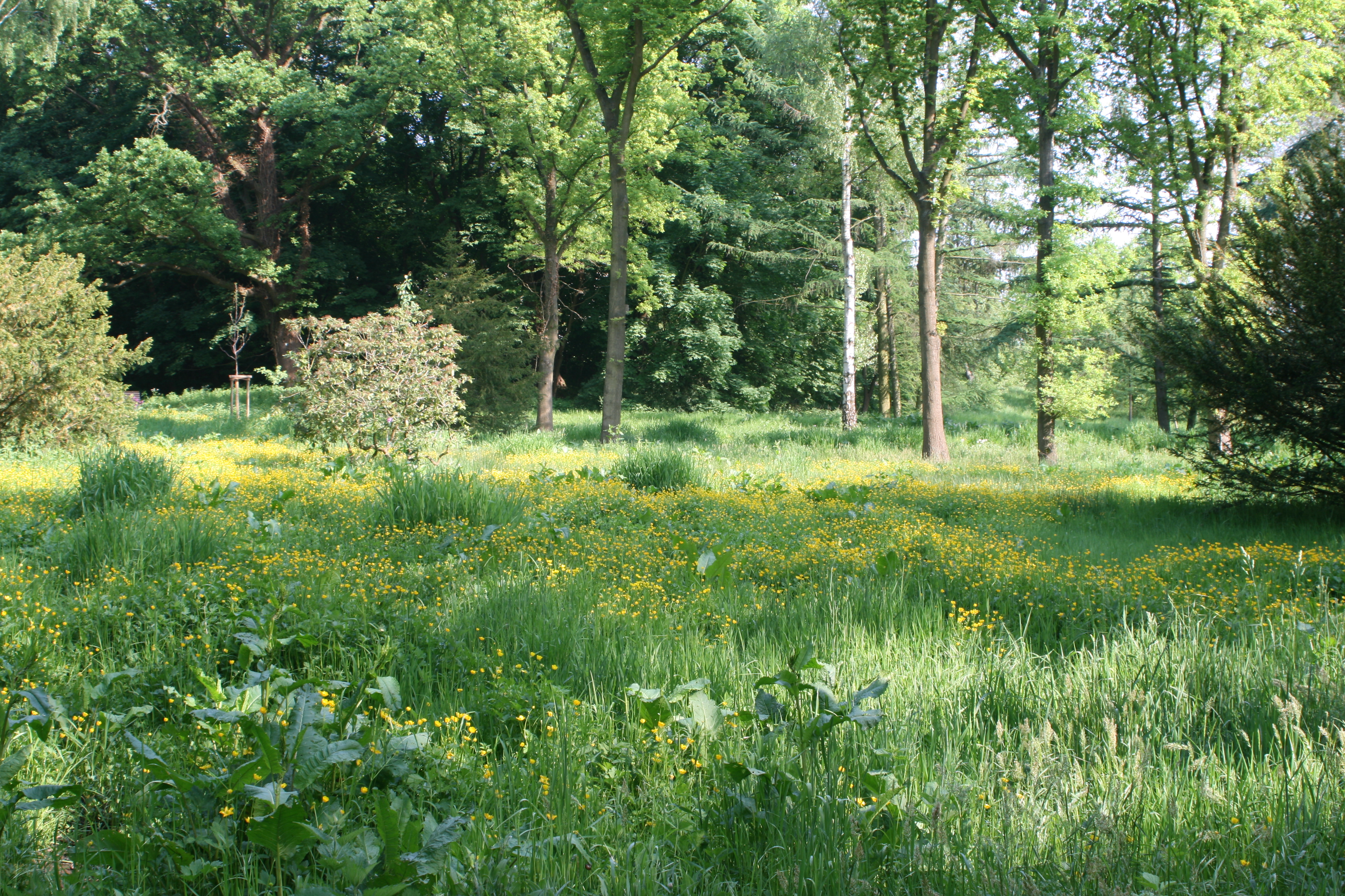 20080515165813.jpg