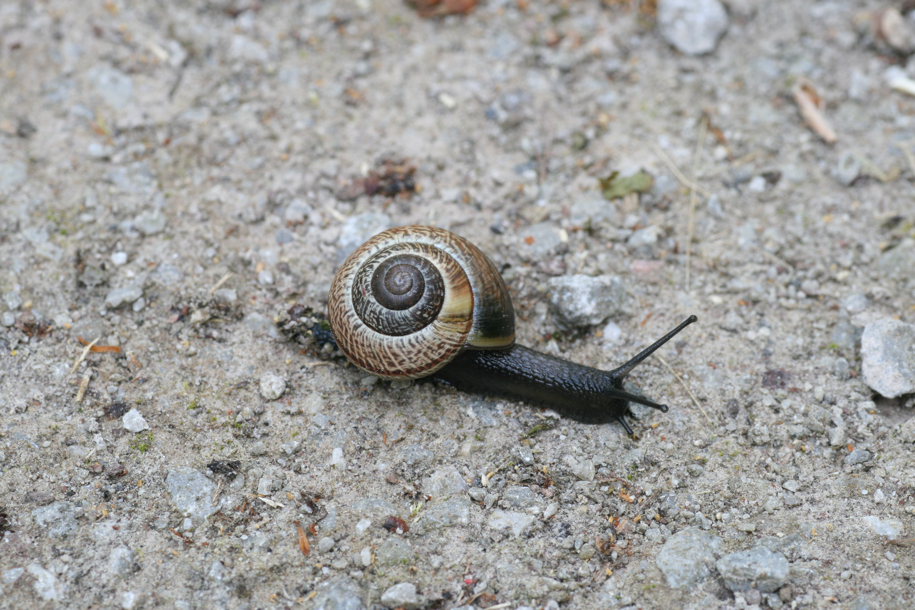 20080515170224.jpg