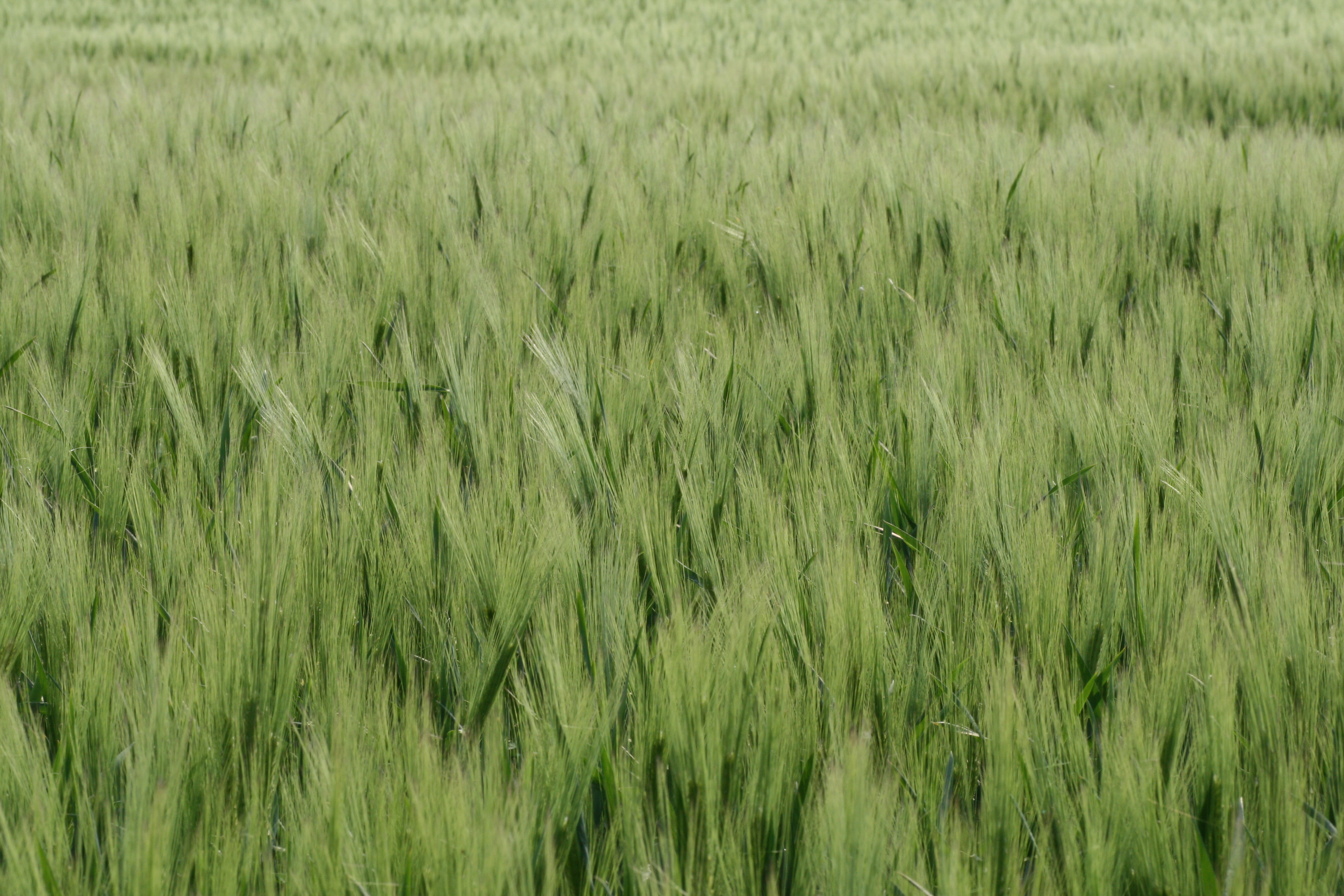 20080515172353.jpg
