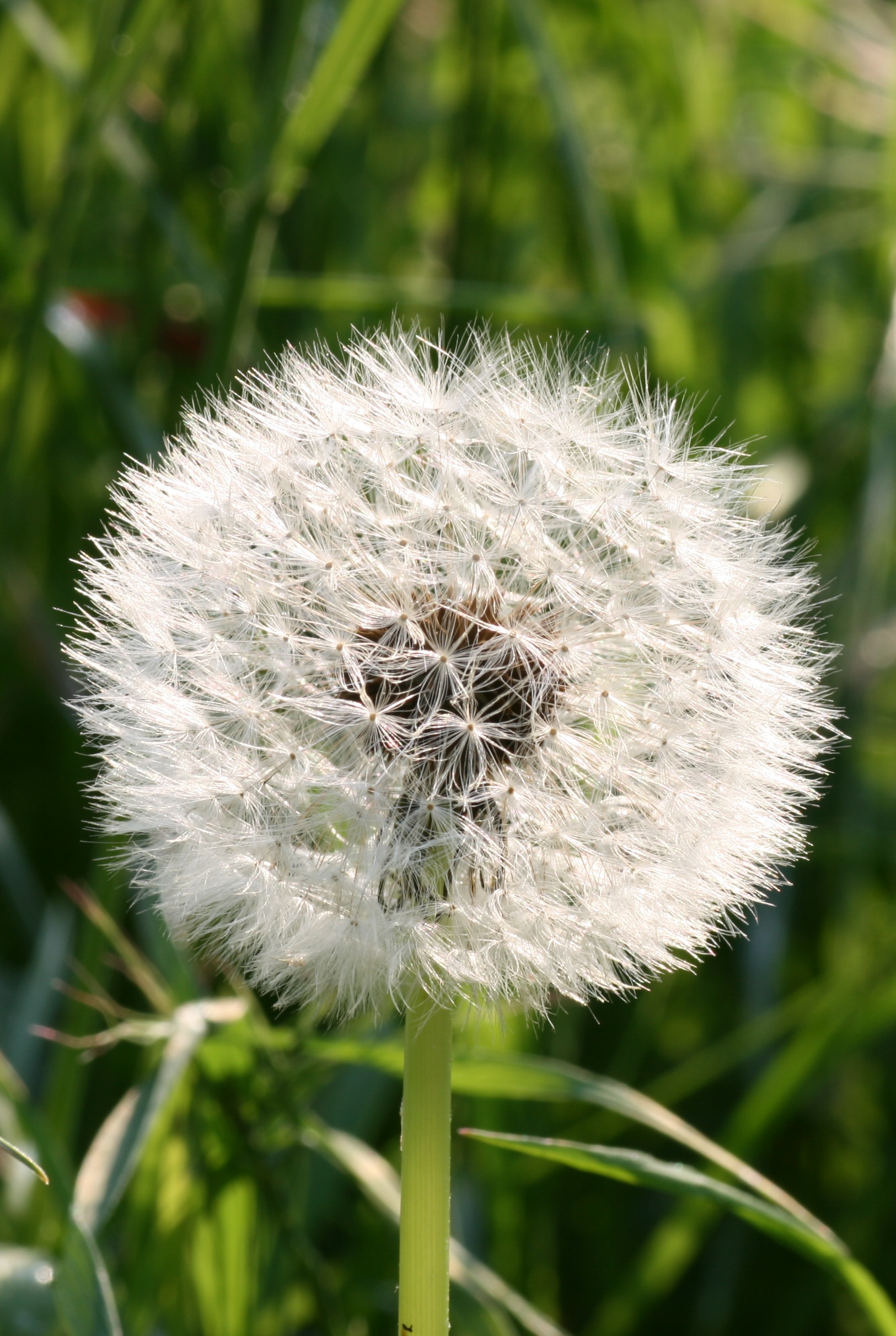 20080515183253.jpg