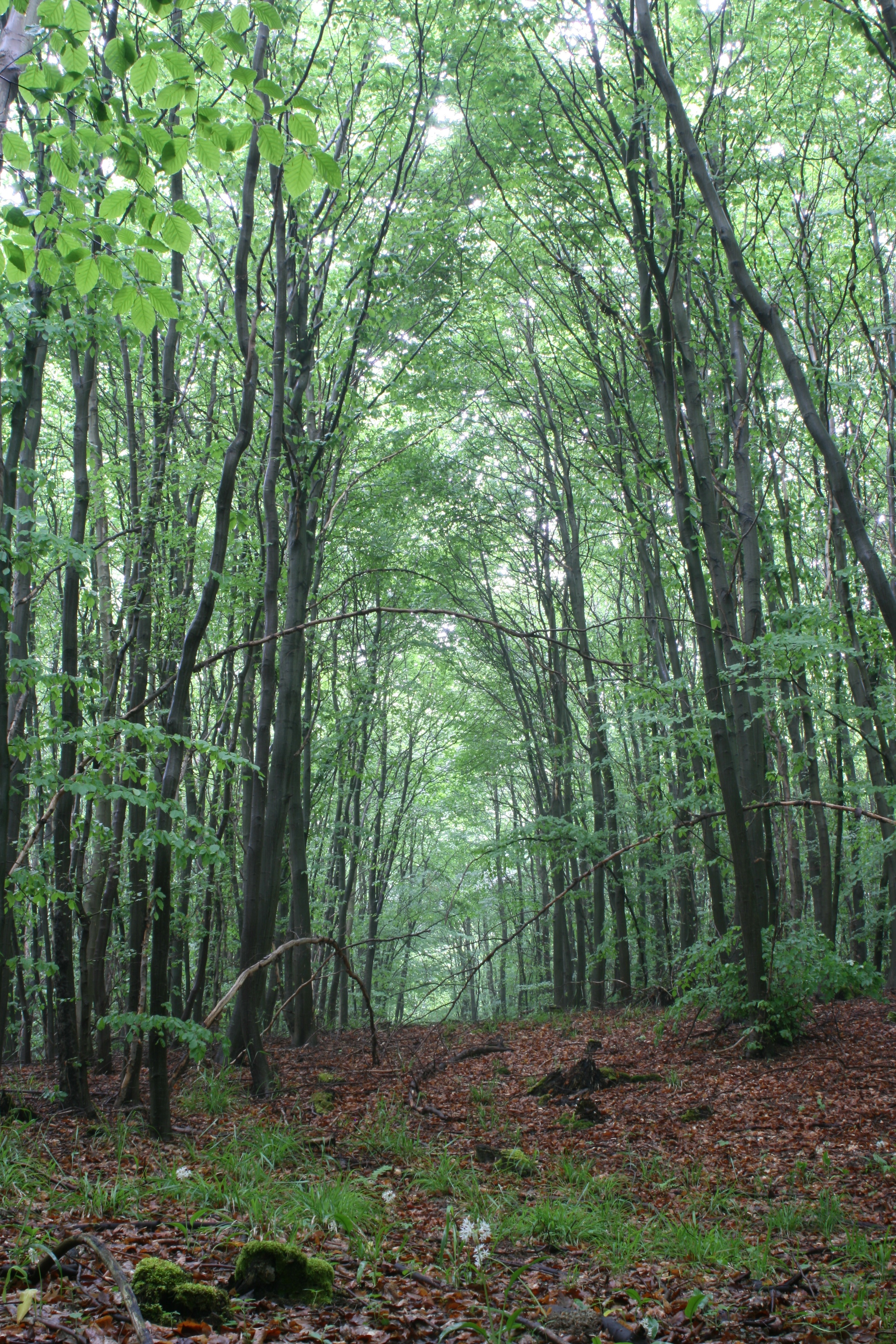 20080517140209.jpg