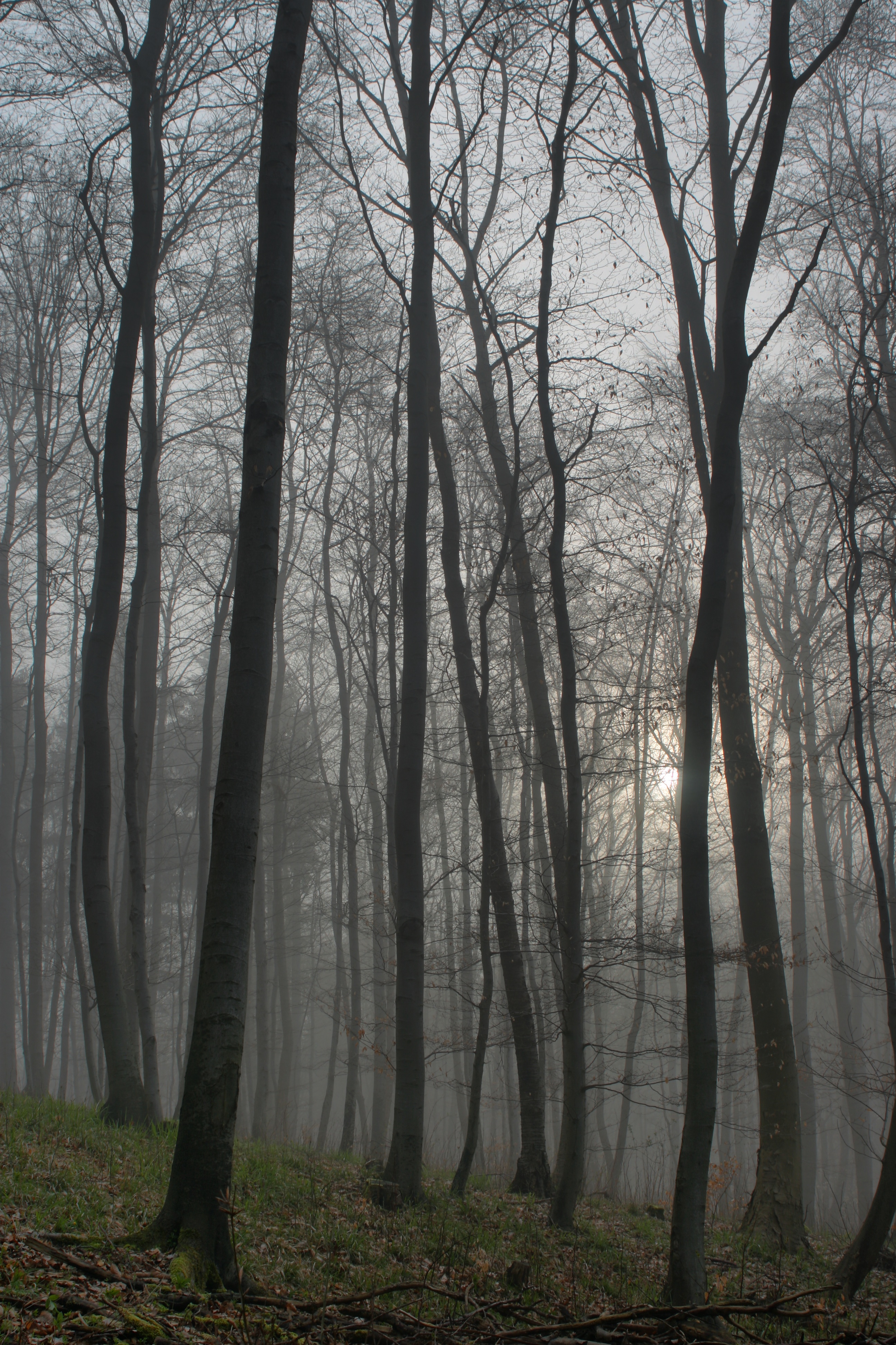 20080517211100-2.jpg