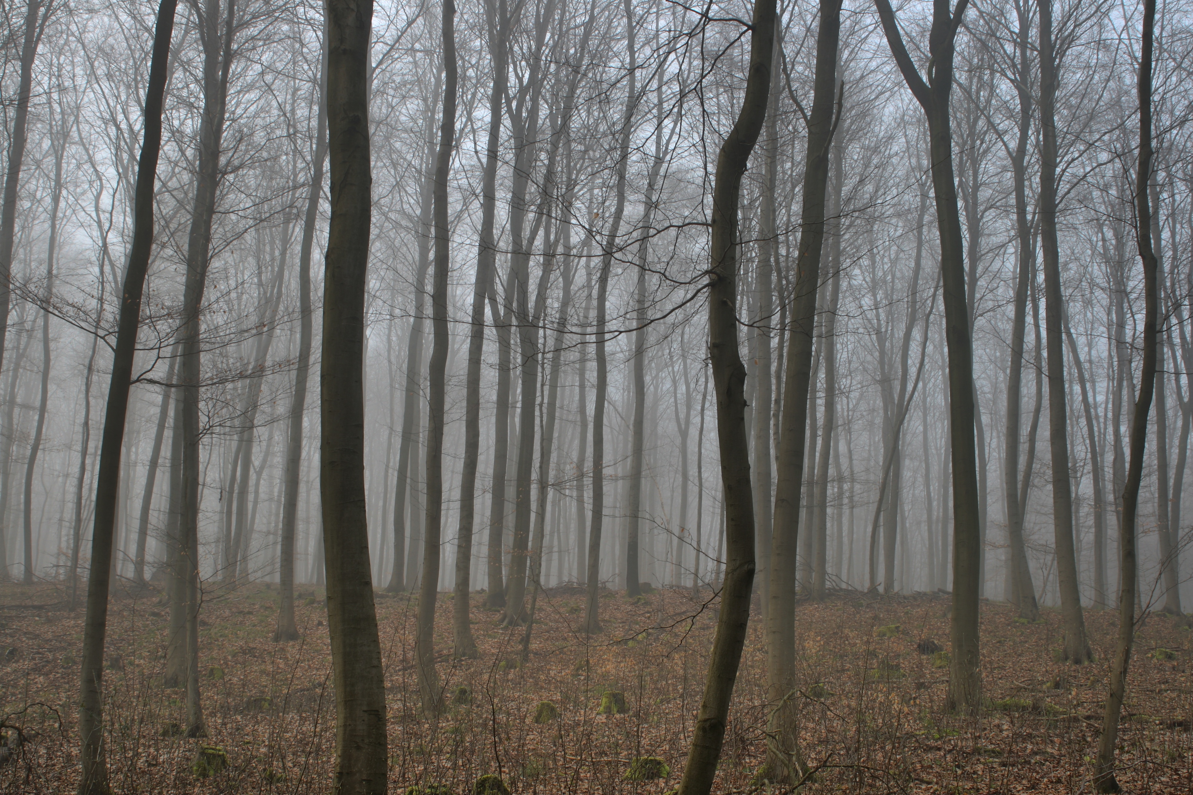 20080517211100-3.jpg