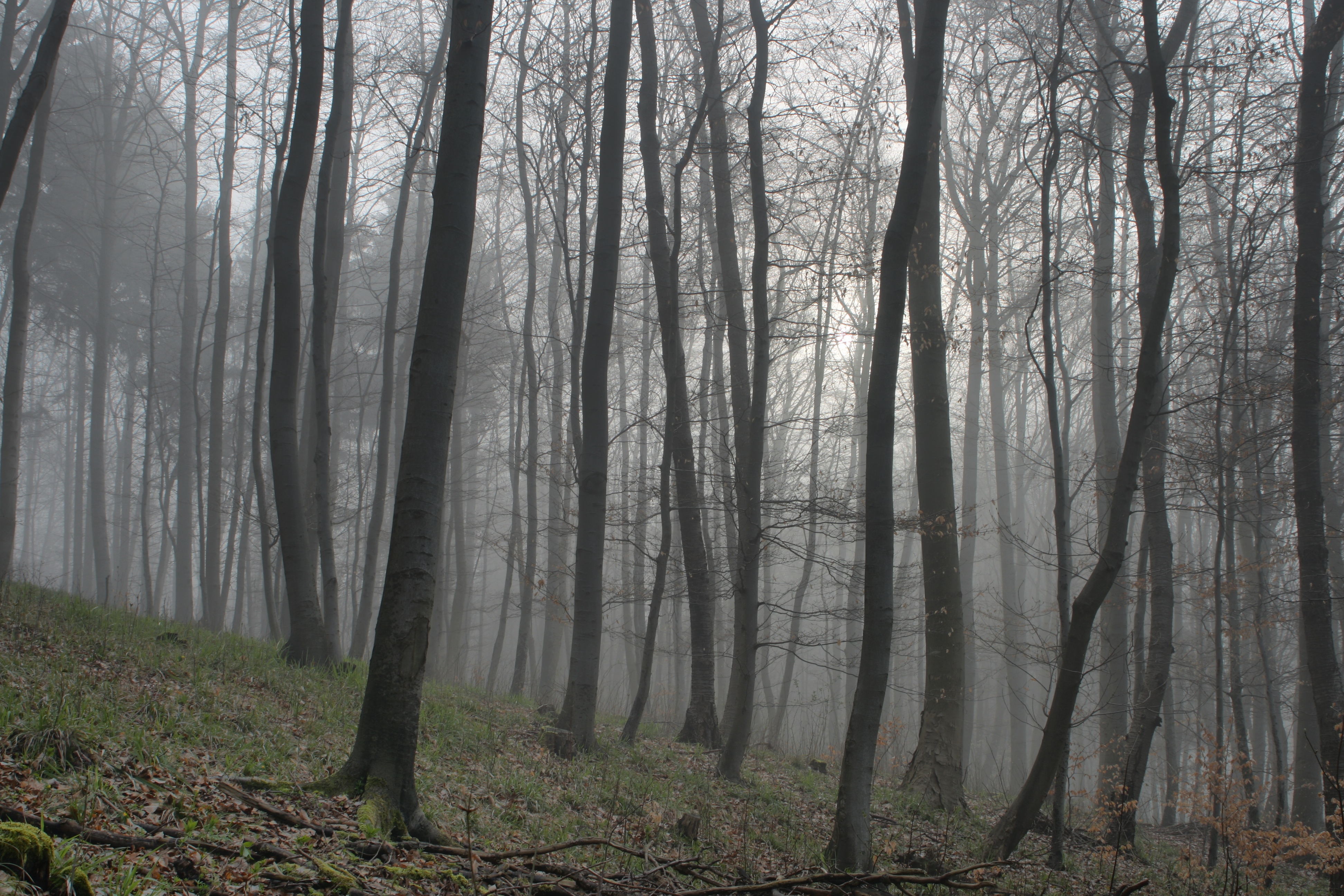 20080517211100-8.jpg