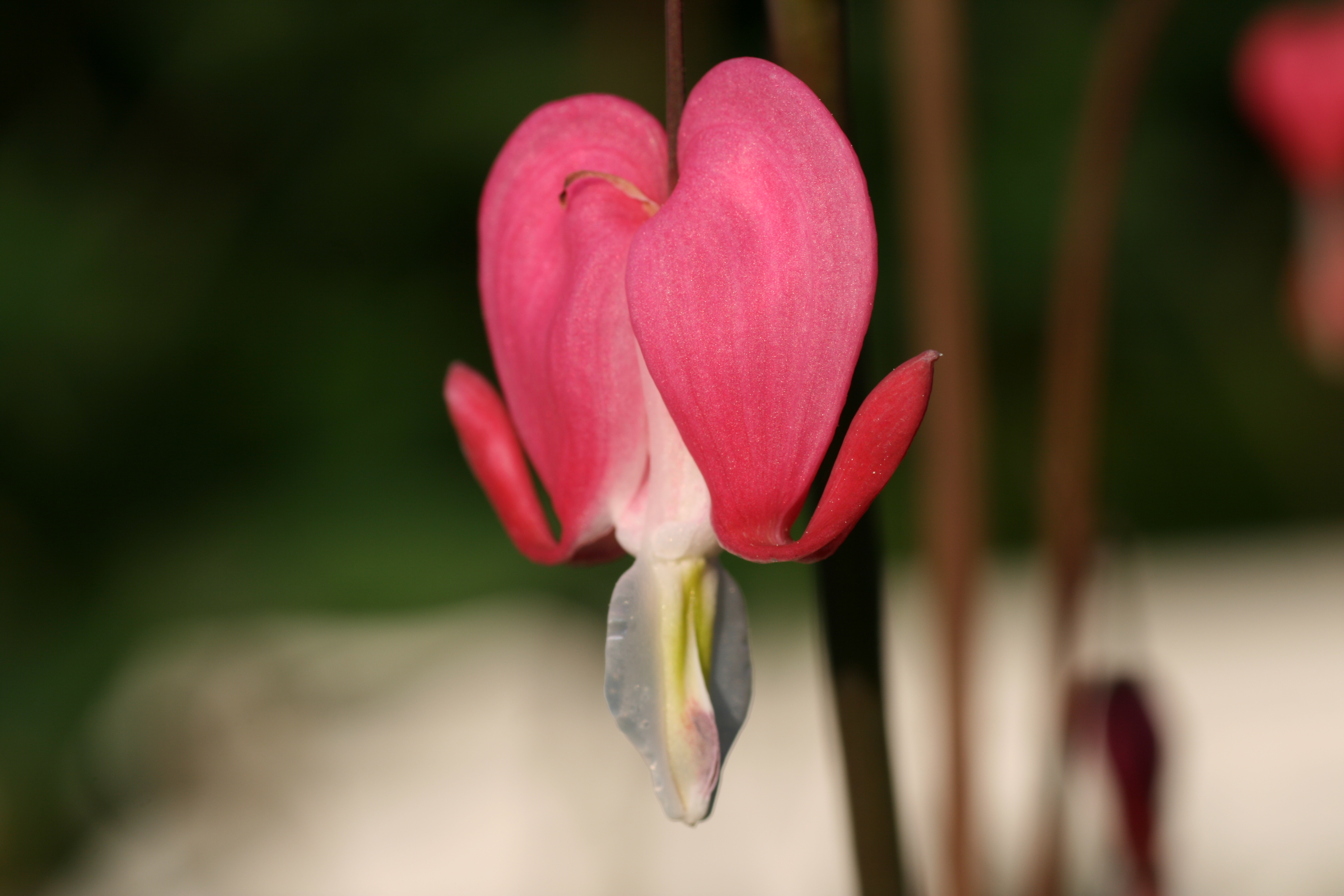 20080520065136.jpg