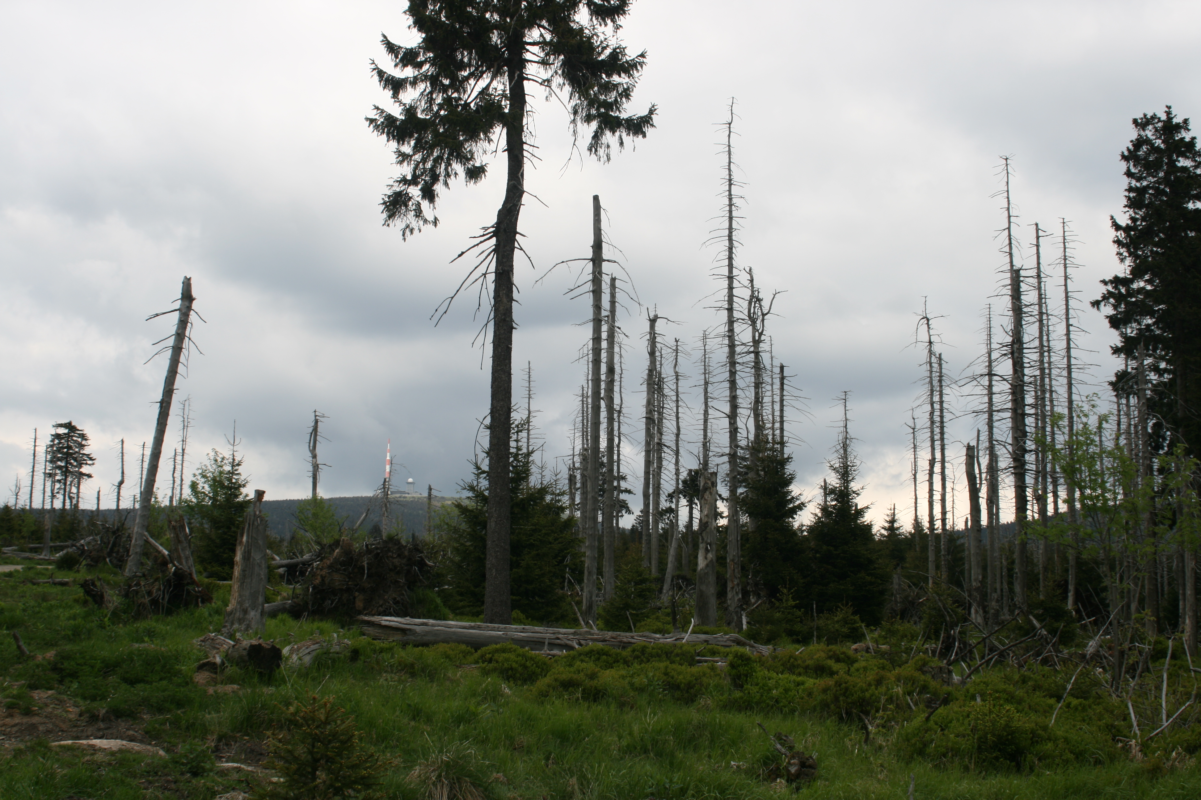 20080523173223.jpg