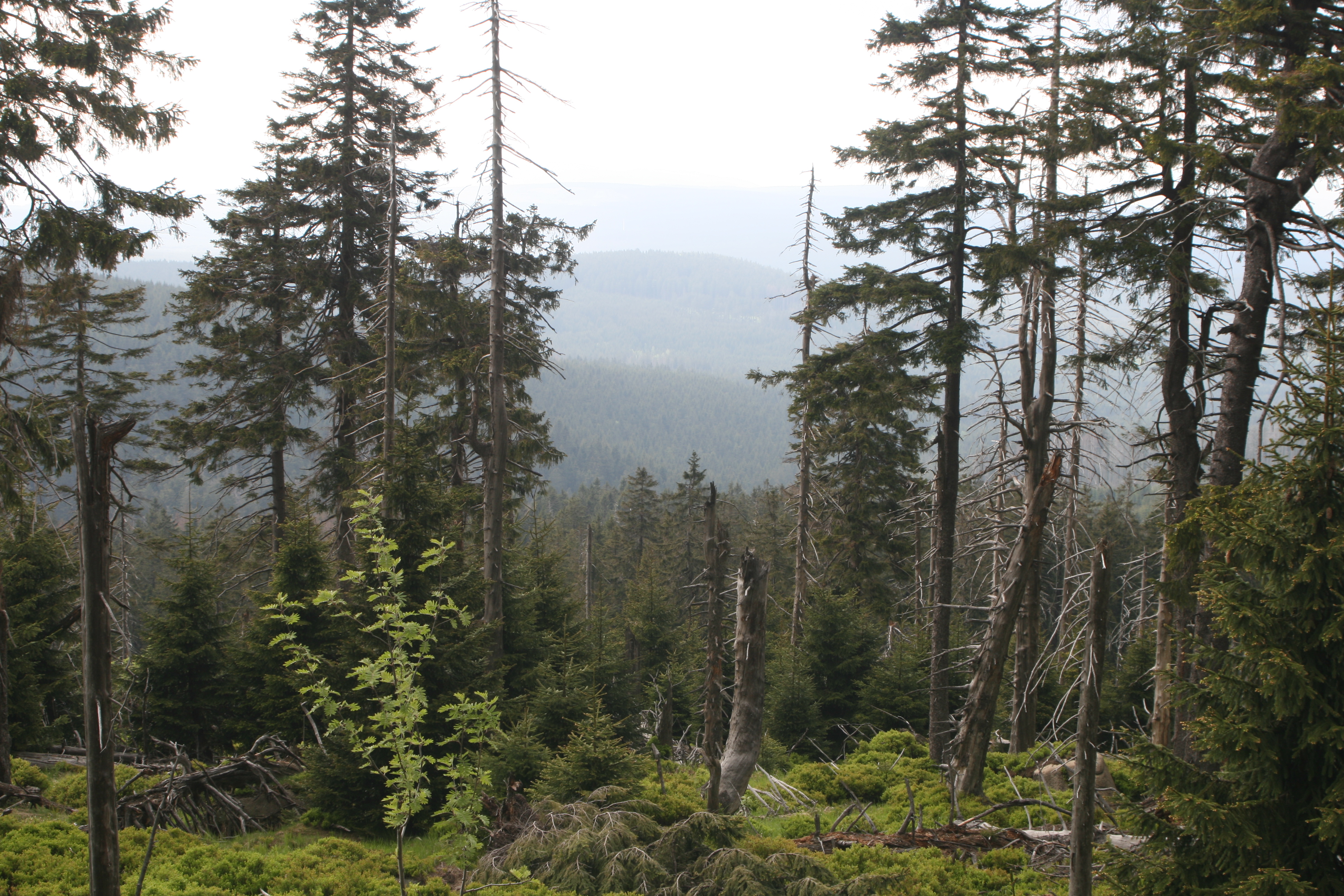20080523181054.jpg