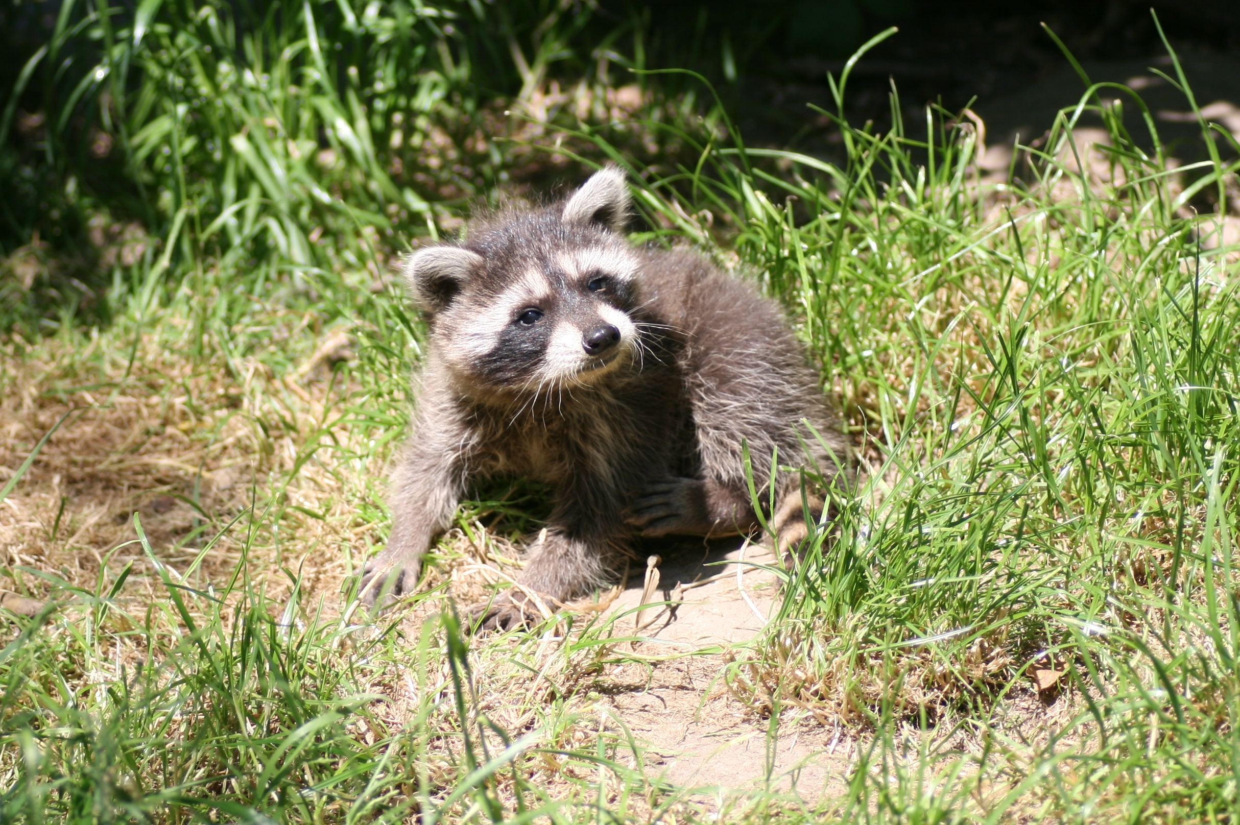 20080524130409.jpg