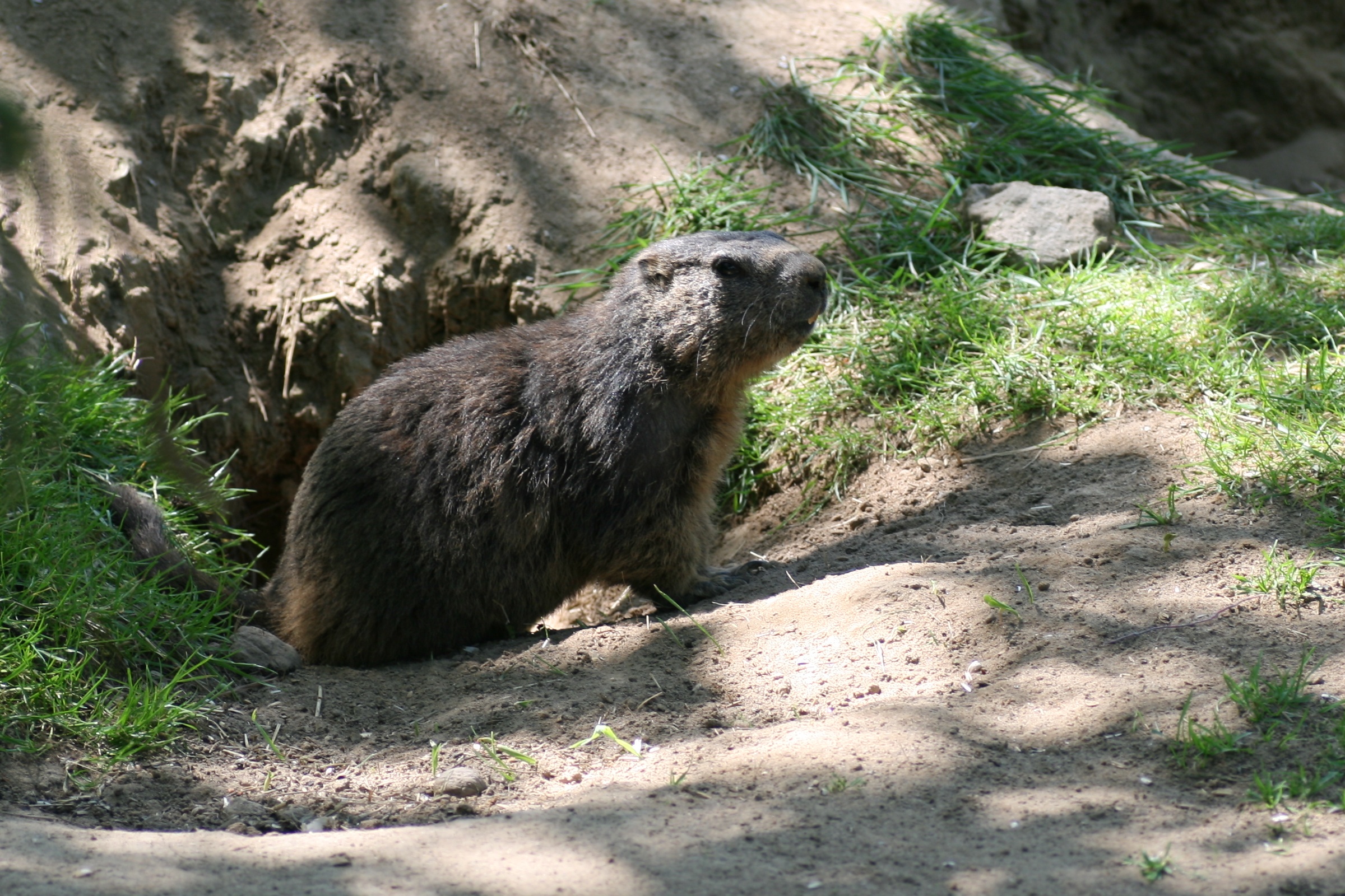 20080524132811.jpg